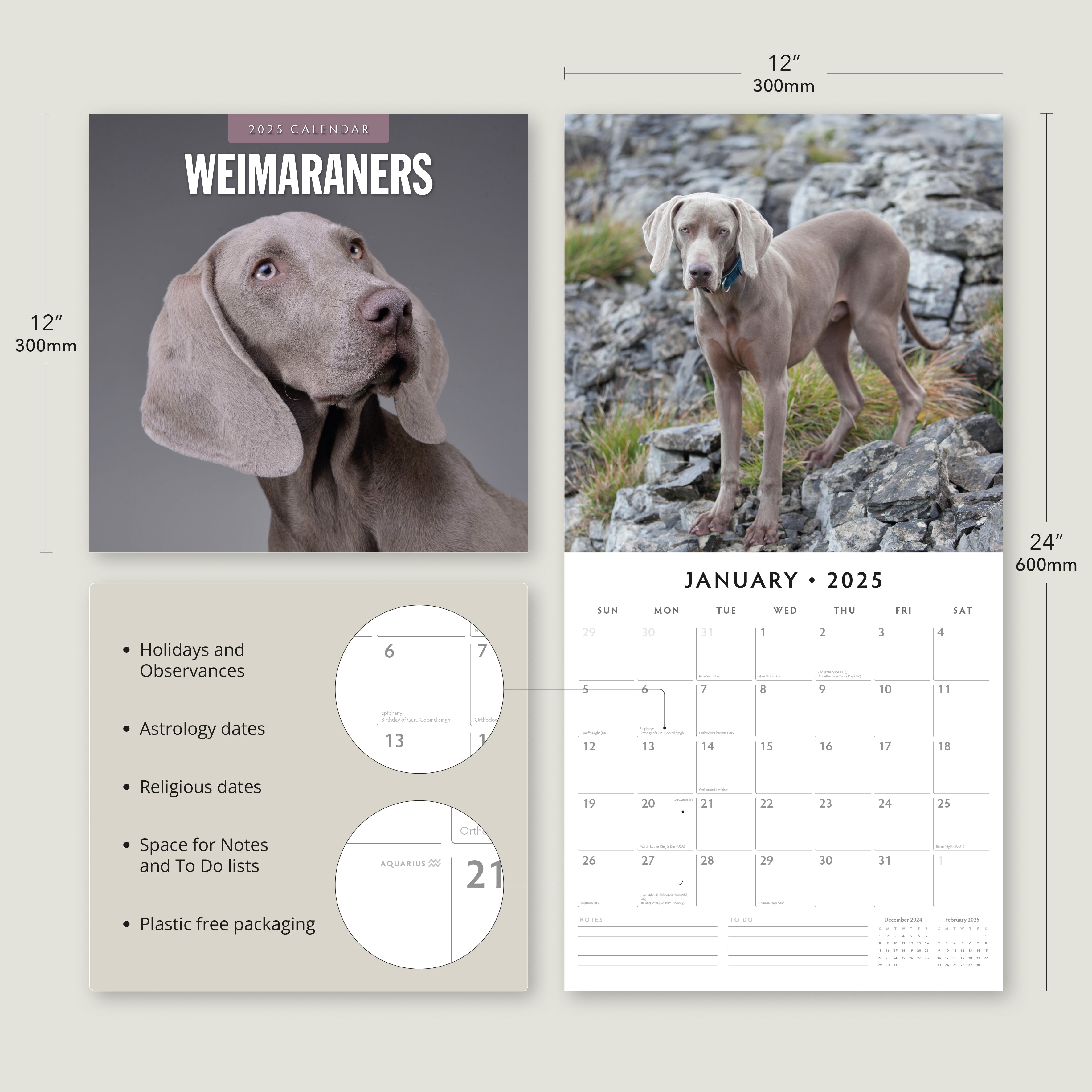 2025 Weimaraners - Square Wall Calendar