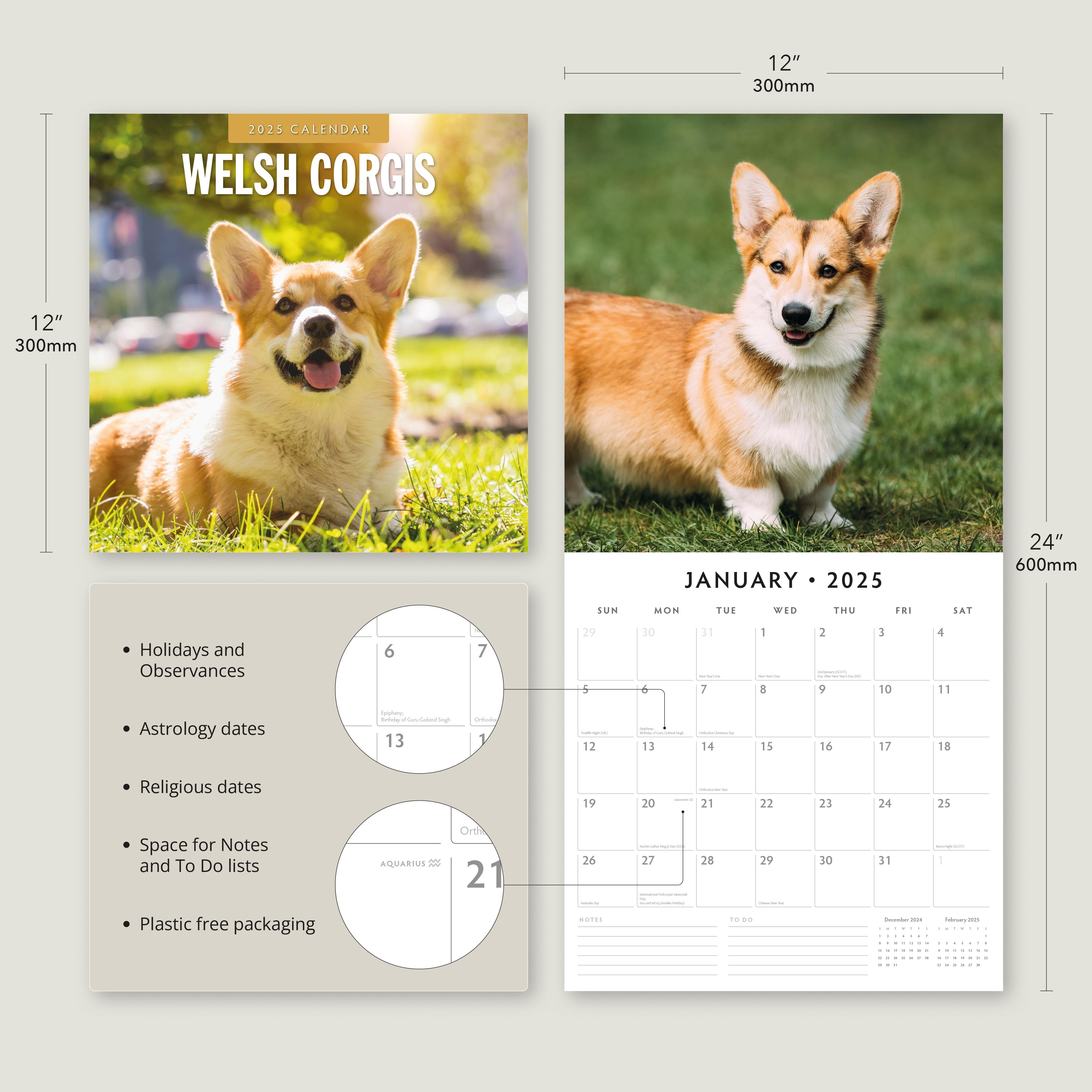 2025 Welsh Corgis - Square Wall Calendar