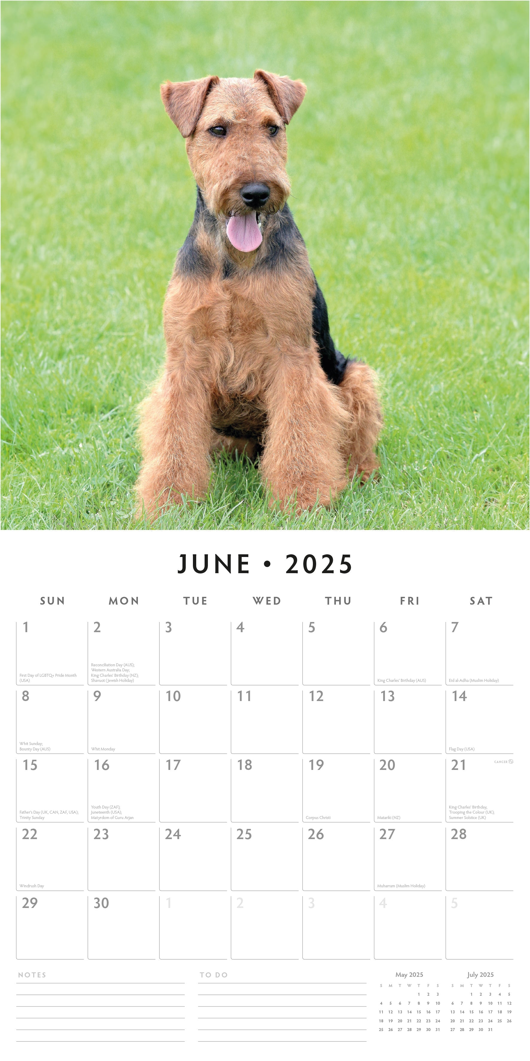 2025 Welsh Terriers - Square Wall Calendar