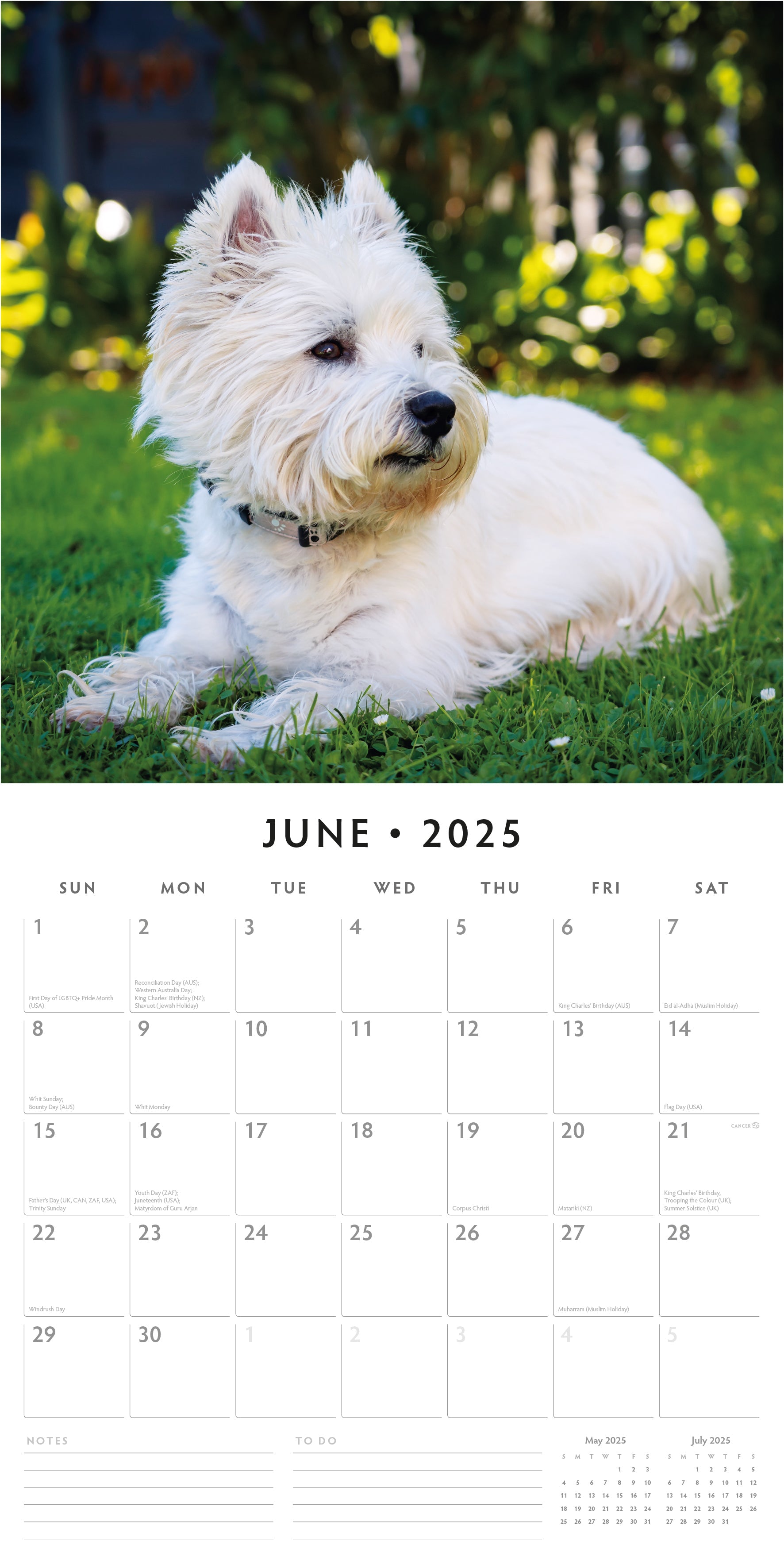 2025 West Highland White Terriers (Westies) - Square Wall Calendar