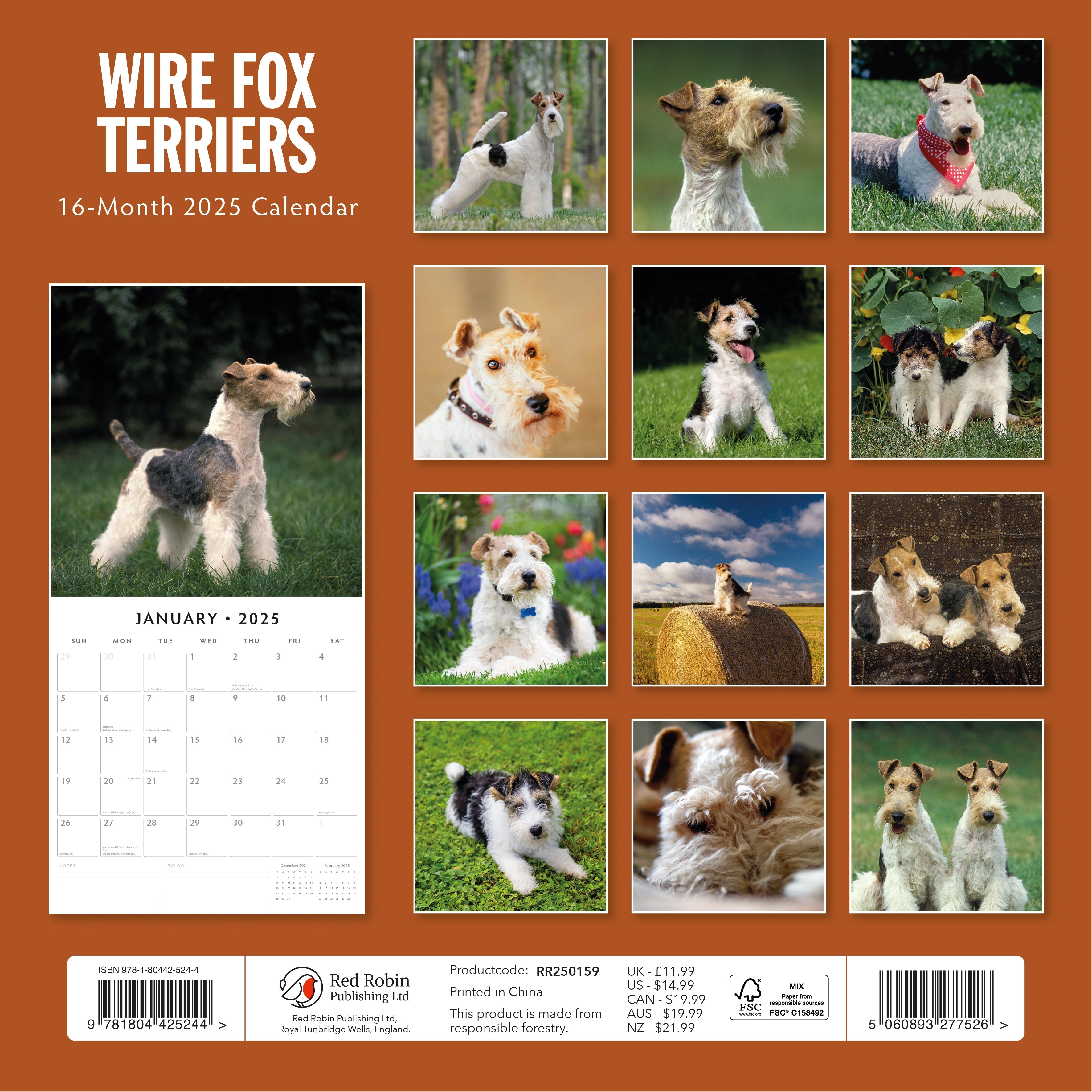 2025 Wire Fox Terriers - Square Wall Calendar