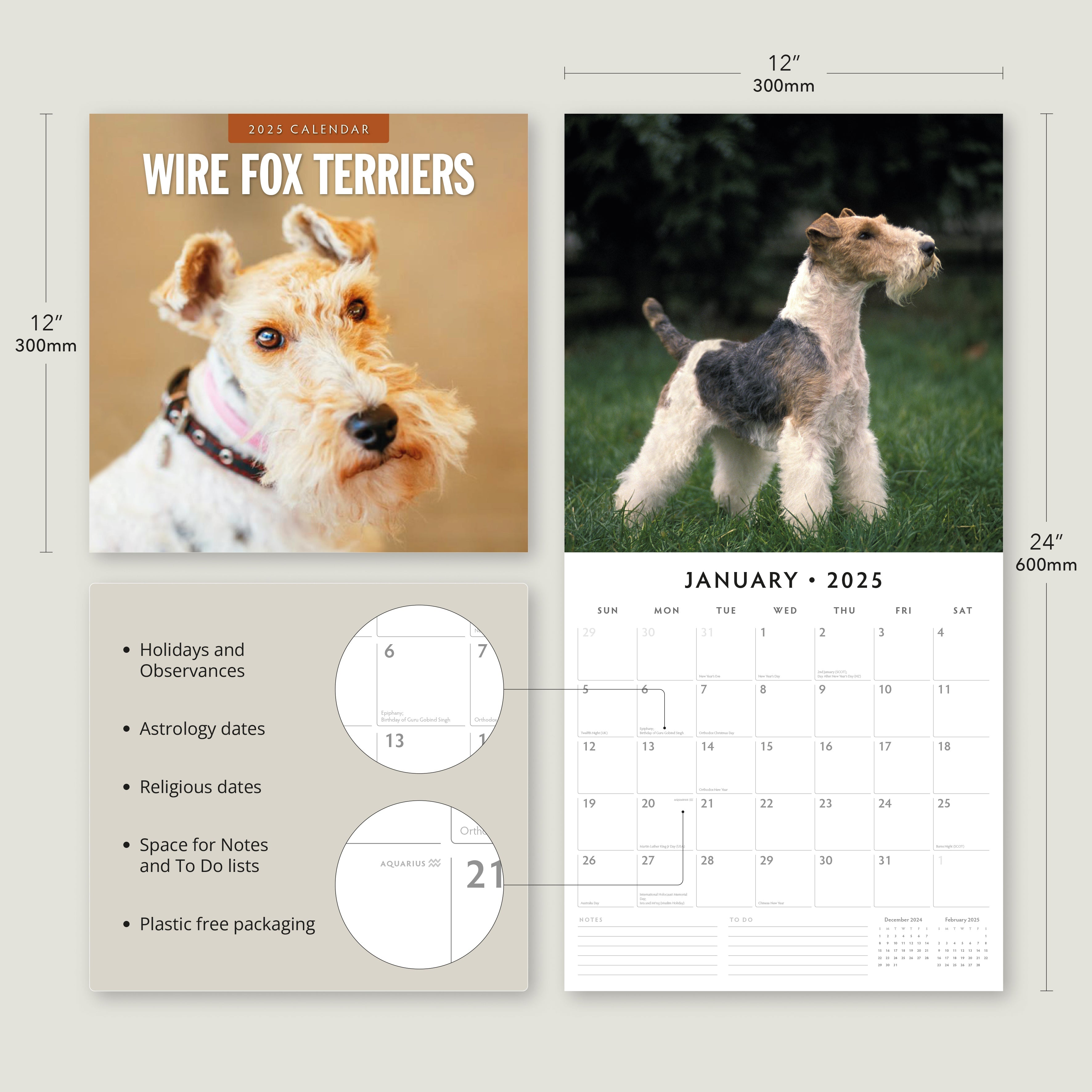 2025 Wire Fox Terriers - Square Wall Calendar