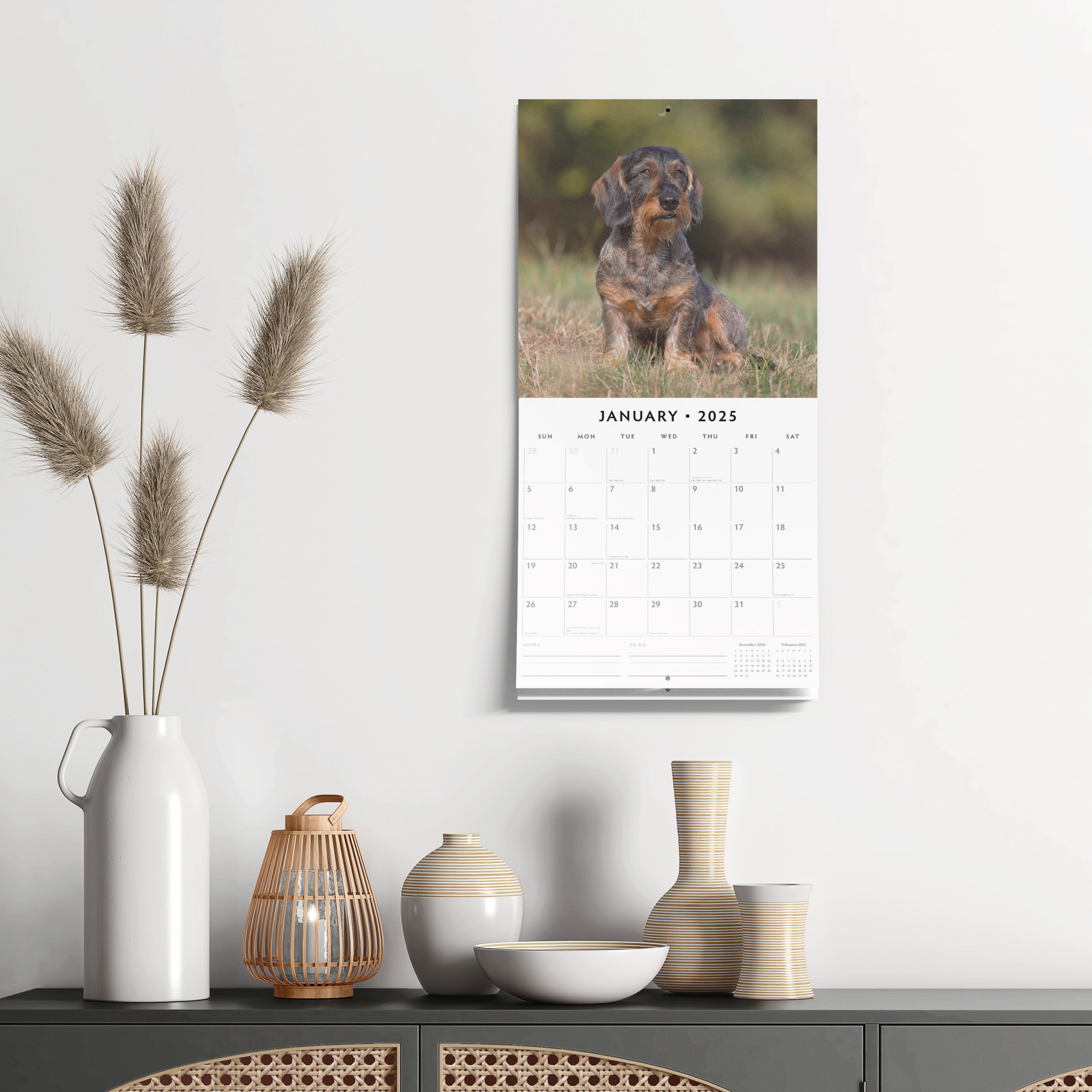 2025 Wire-Haired Dachshunds - Square Wall Calendar