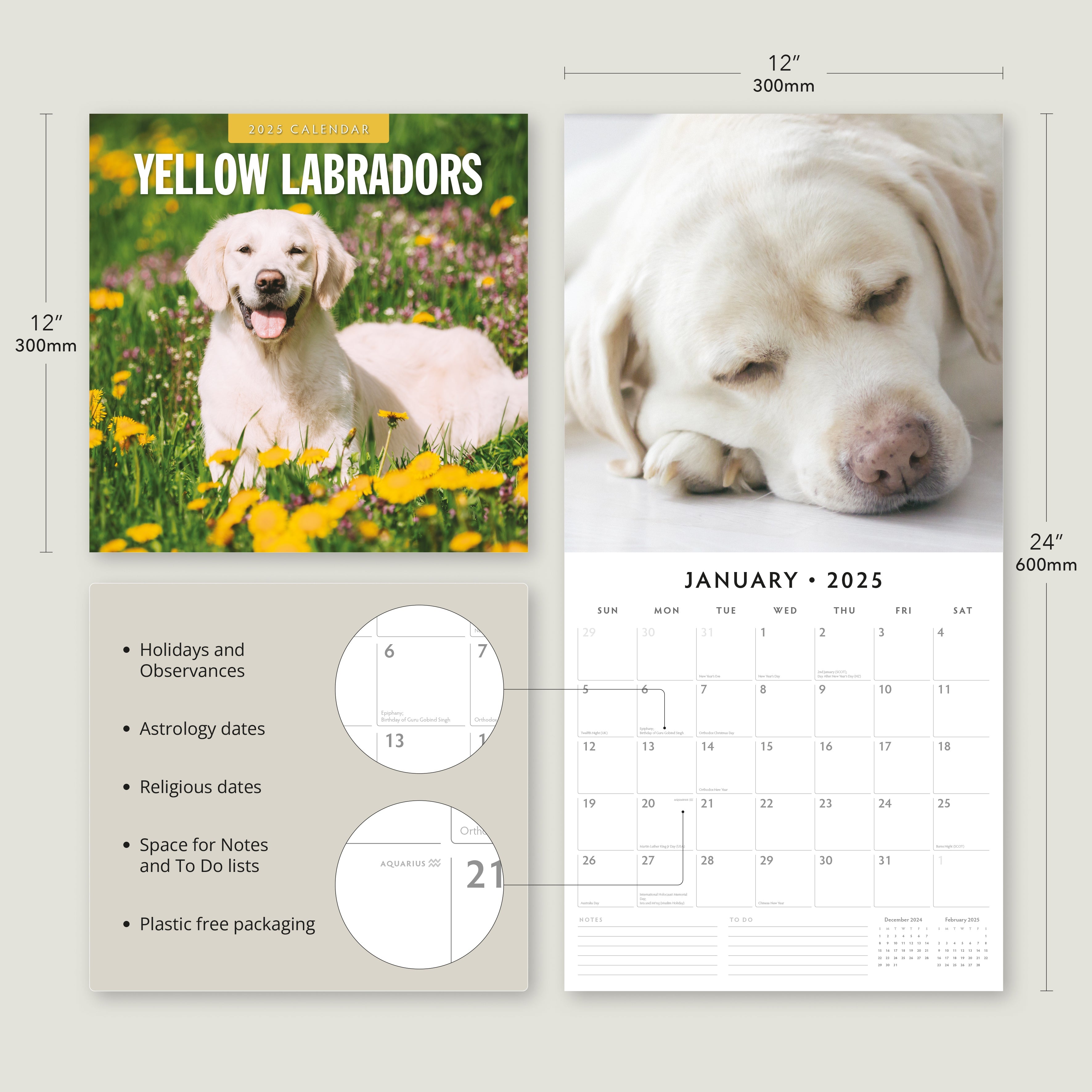 2025 Yellow Labrador - Square Wall Calendar