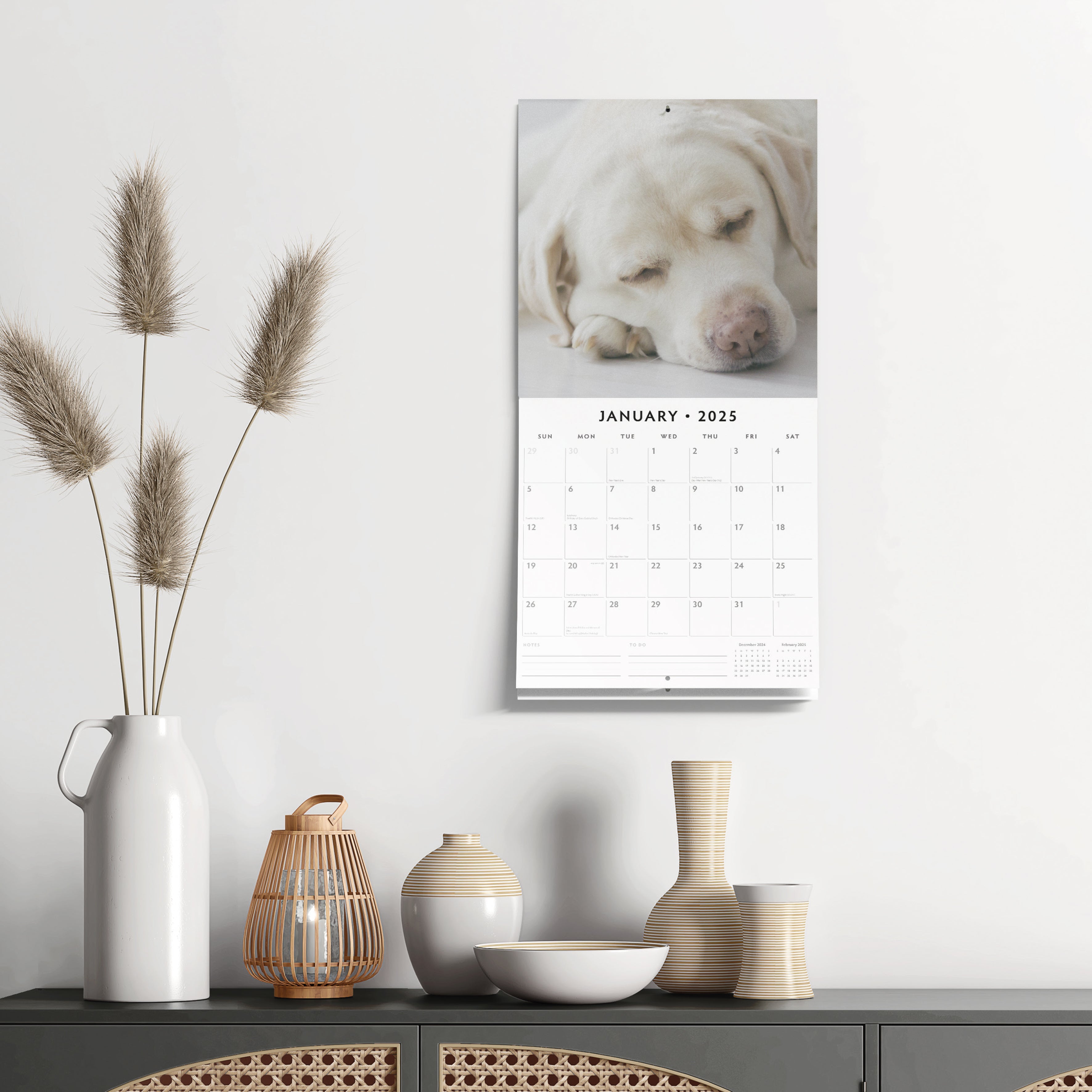 2025 Yellow Labrador - Square Wall Calendar