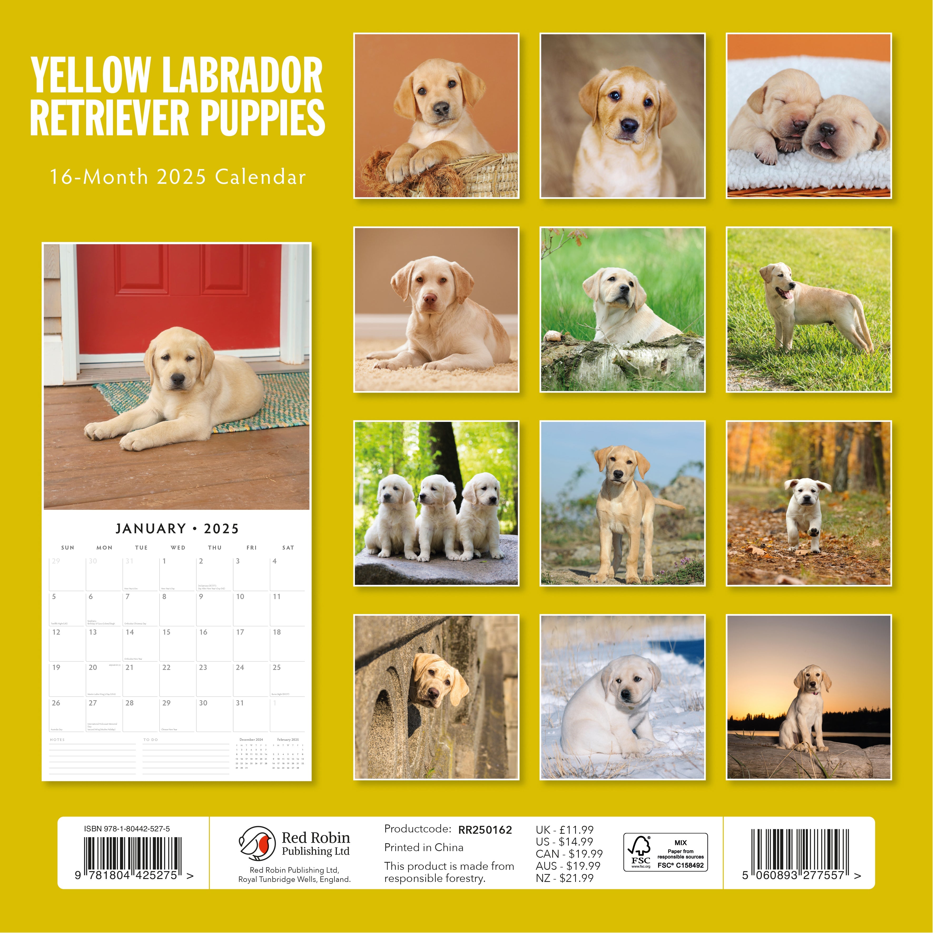 2025 Yellow Labrador Retriever Puppies - Square Wall Calendar