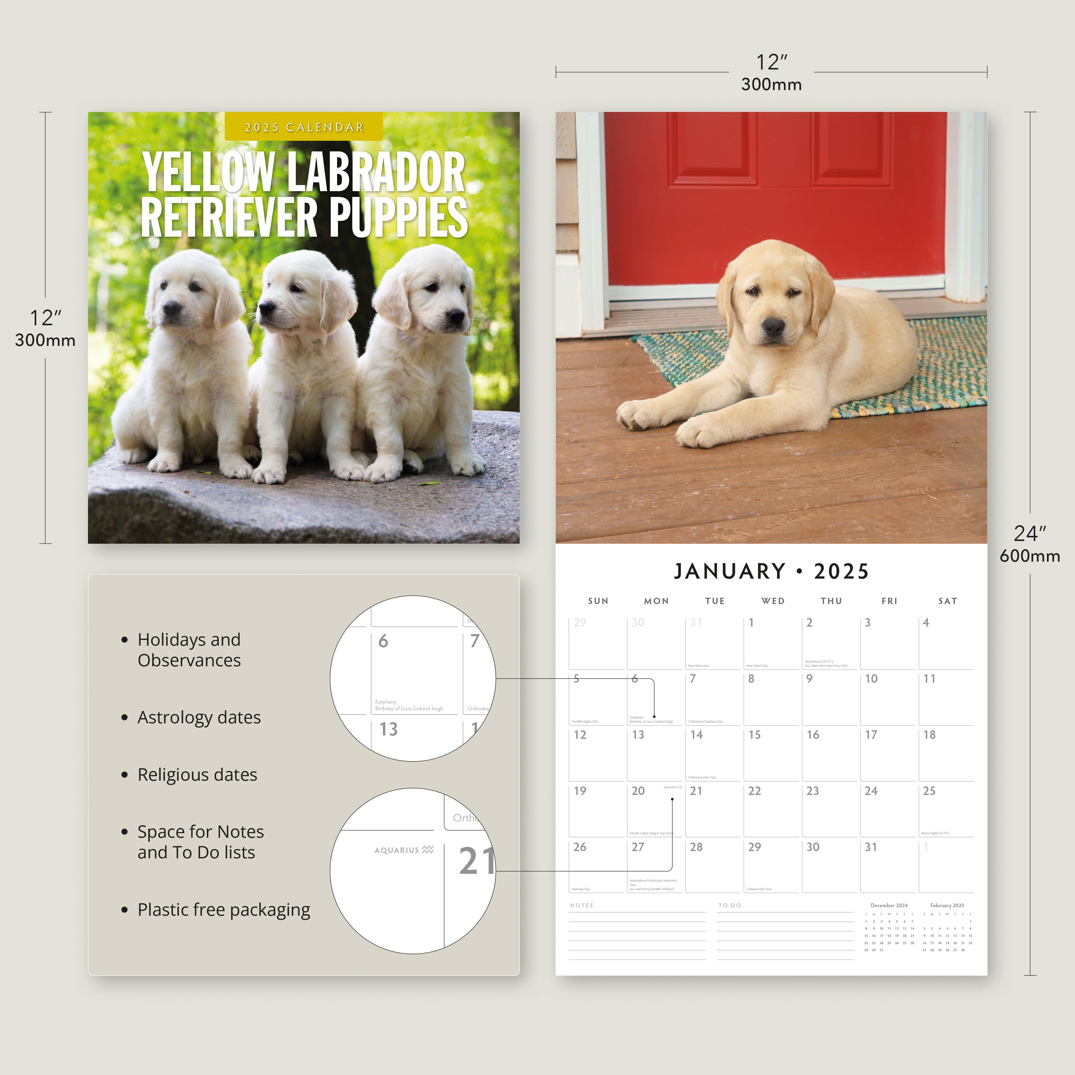 2025 Yellow Labrador Retriever Puppies - Square Wall Calendar