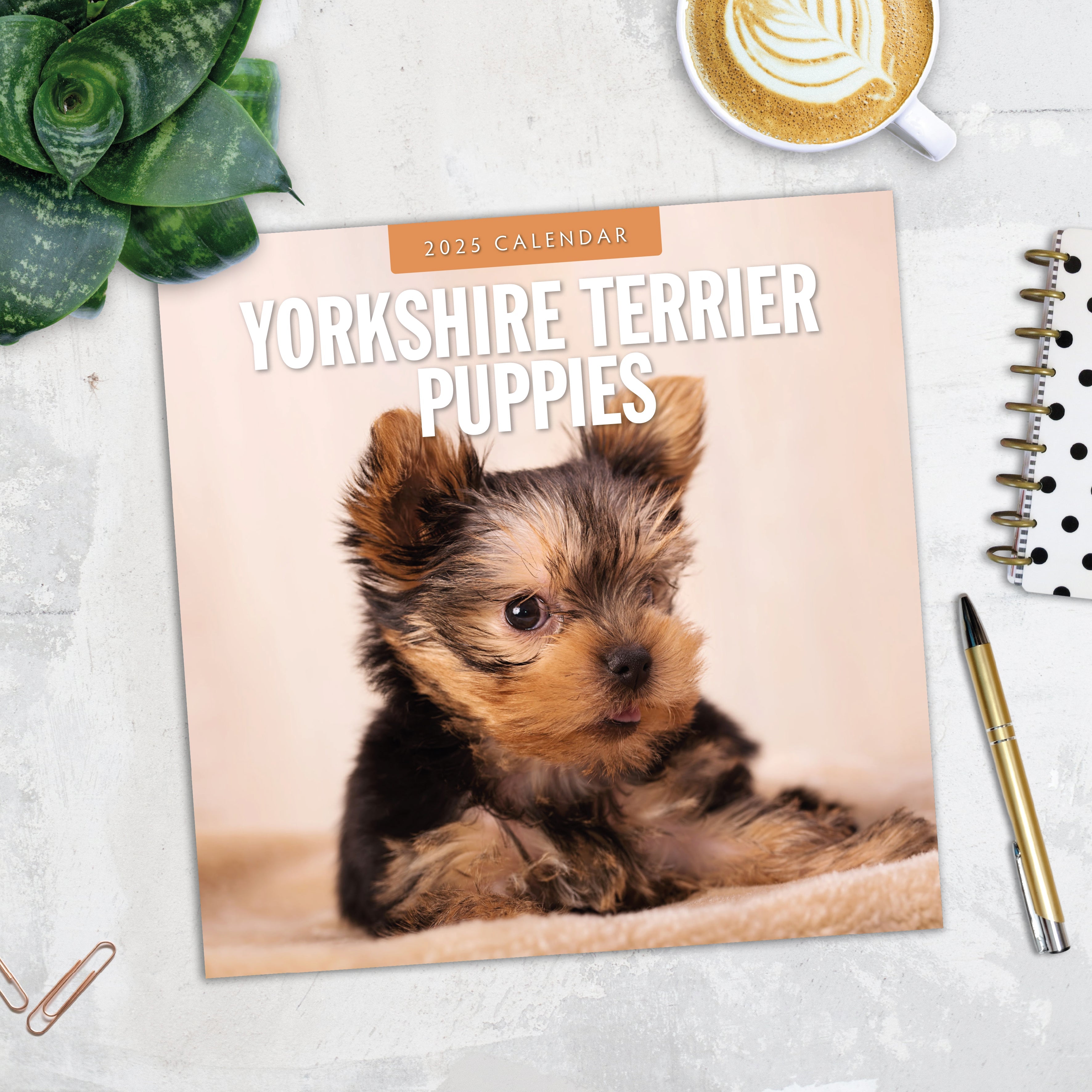 2025 Yorkshire Terrier Puppies - Square Wall Calendar