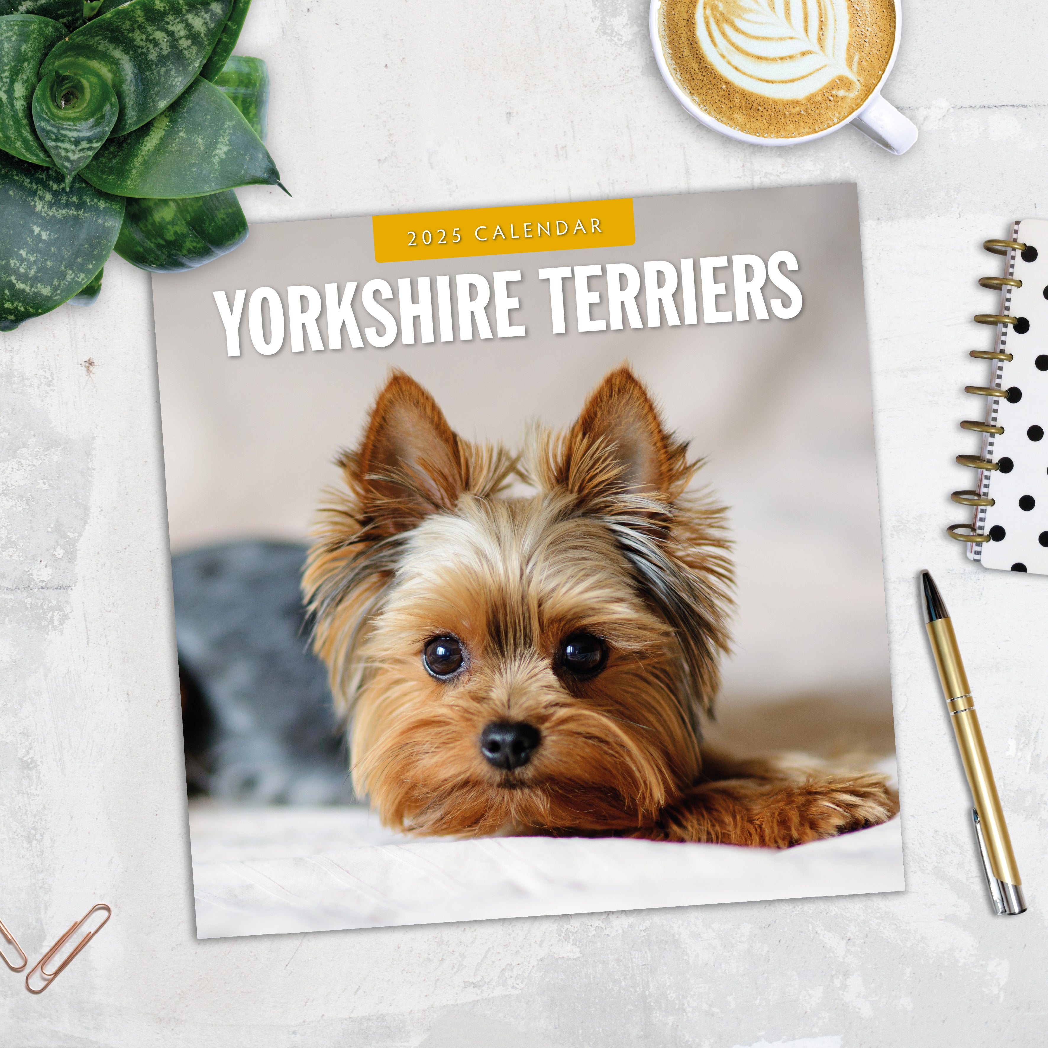 2025 Yorkshire Terriers - Square Wall Calendar