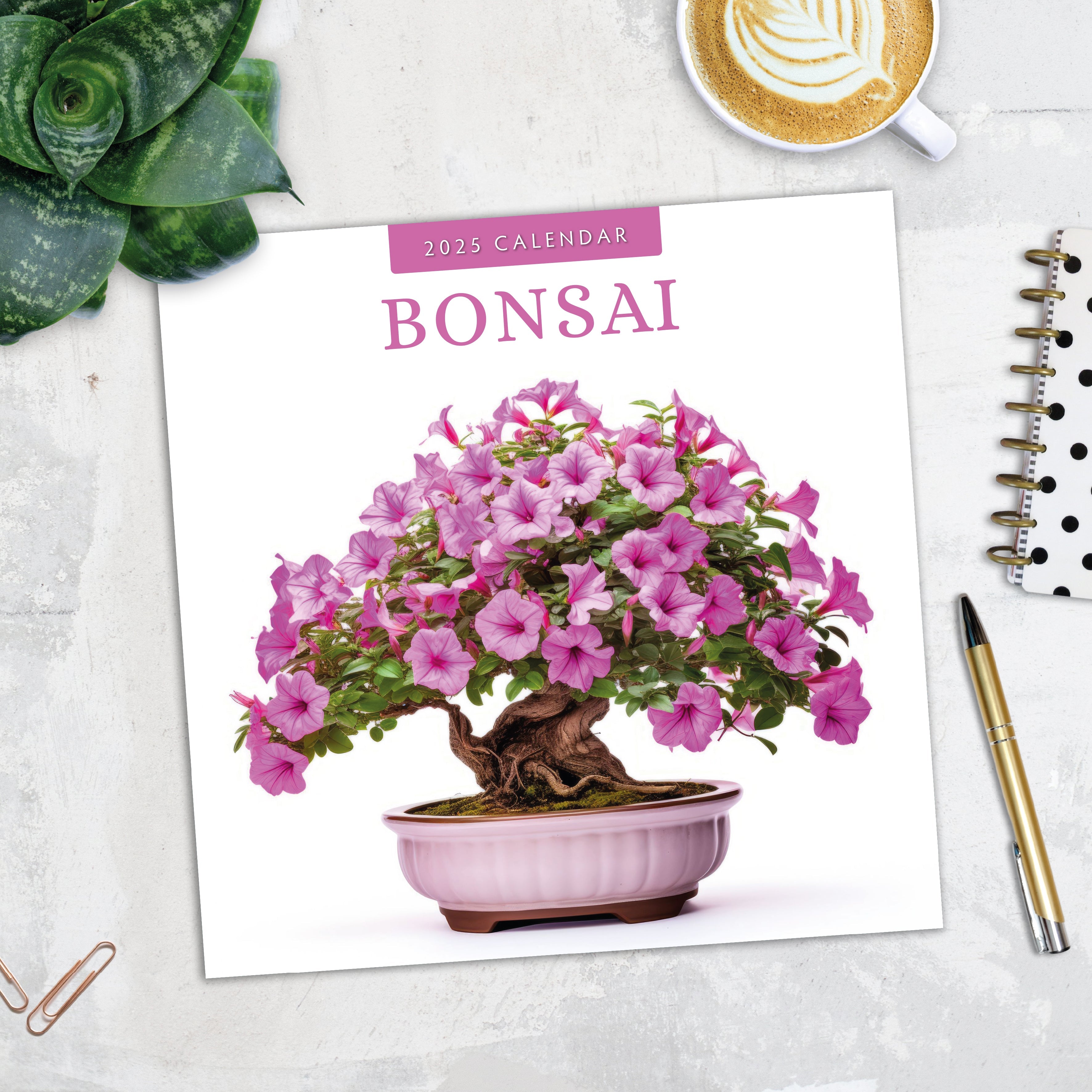 2025 Bonsai - Square Wall Calendar