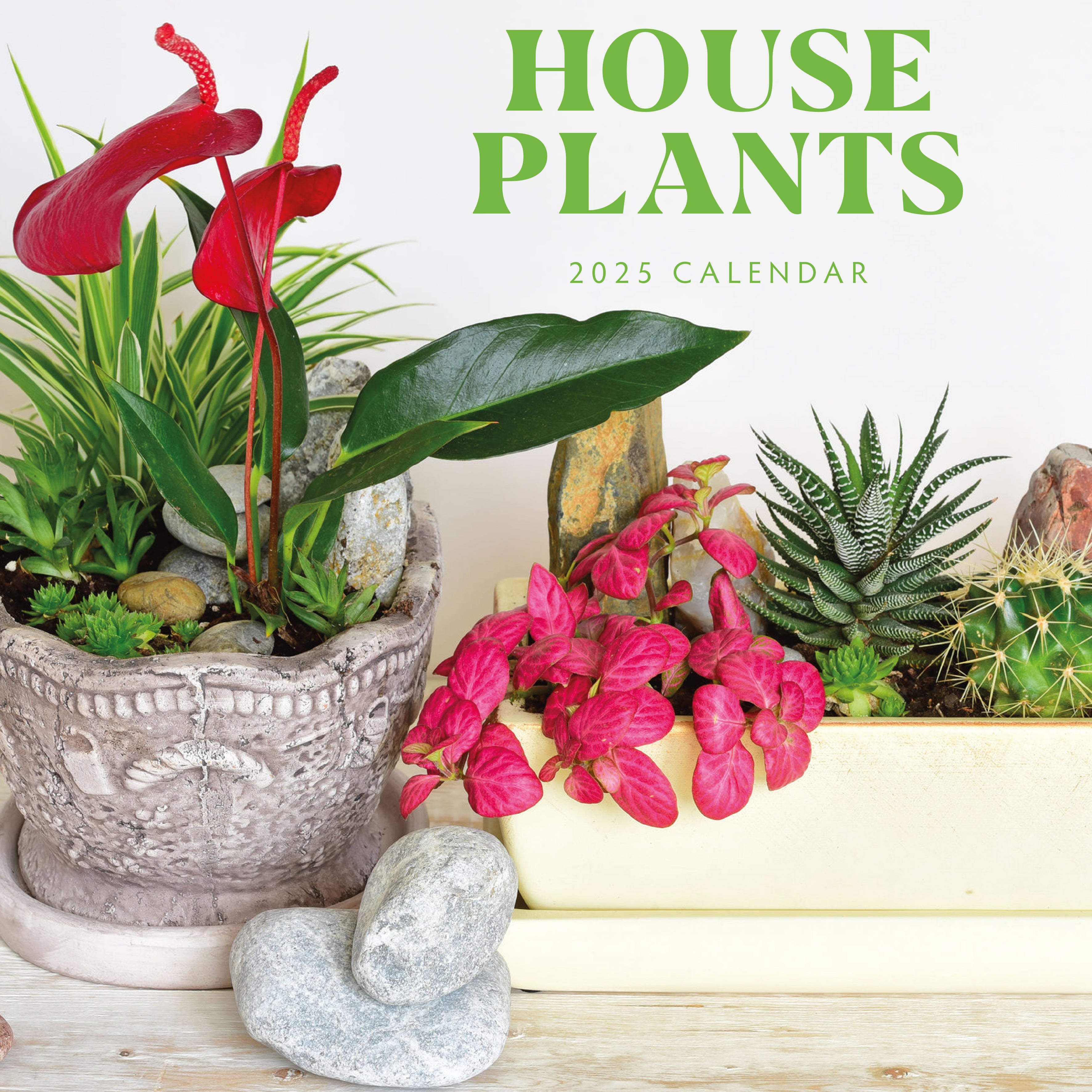 2025 House Plants - Square Wall Calendar