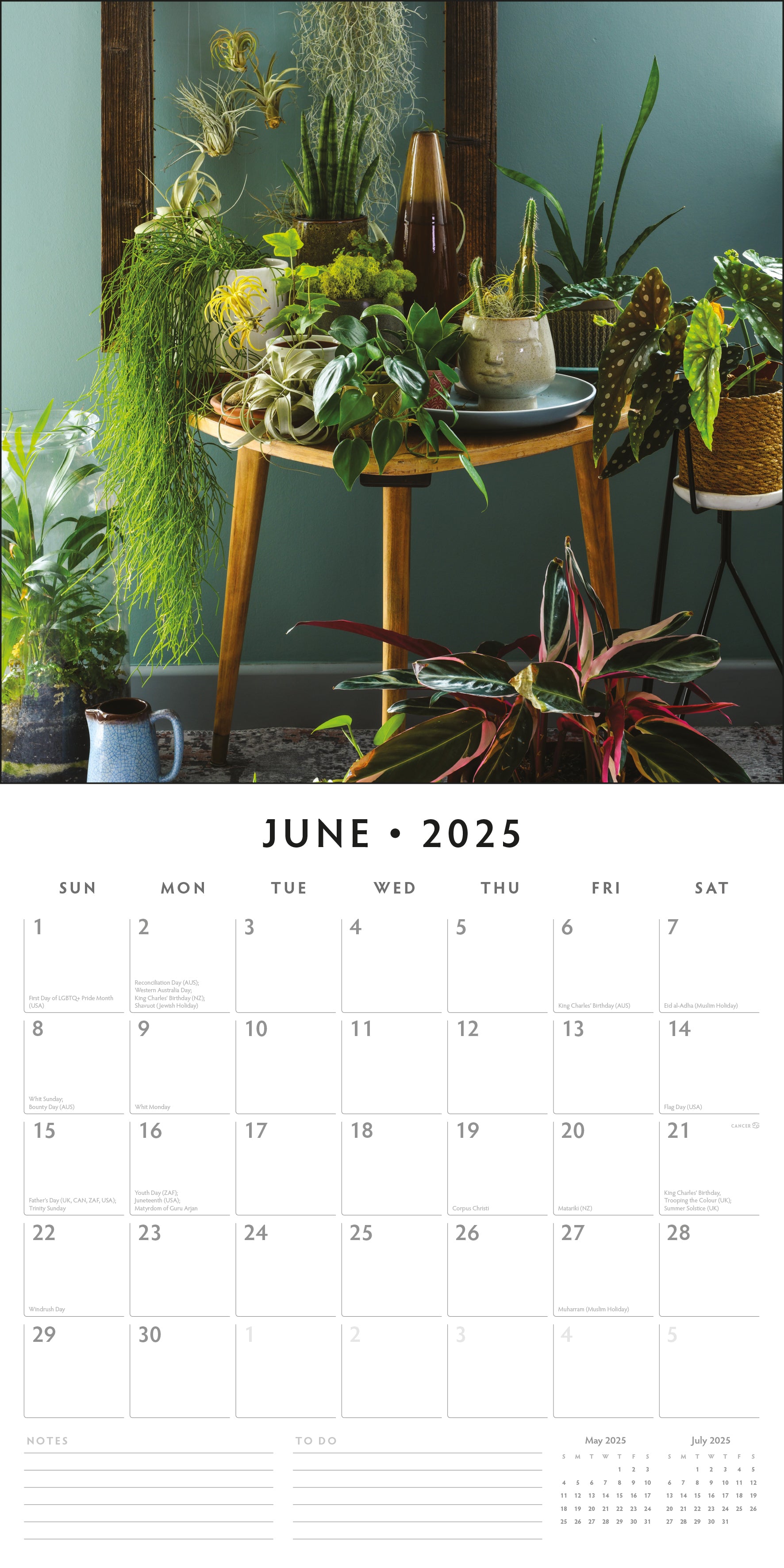 2025 House Plants - Square Wall Calendar