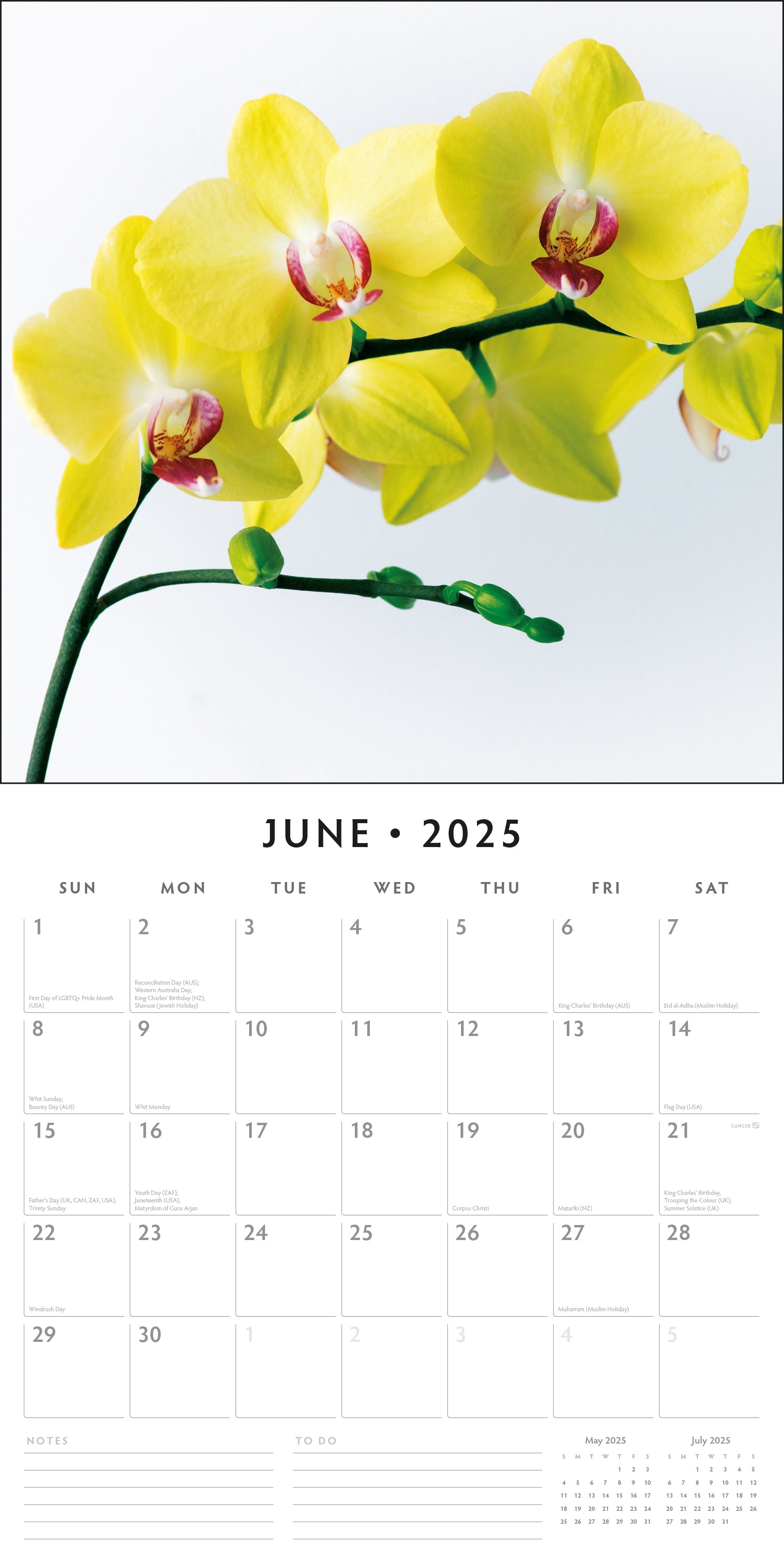 2025 Orchids - Square Wall Calendar