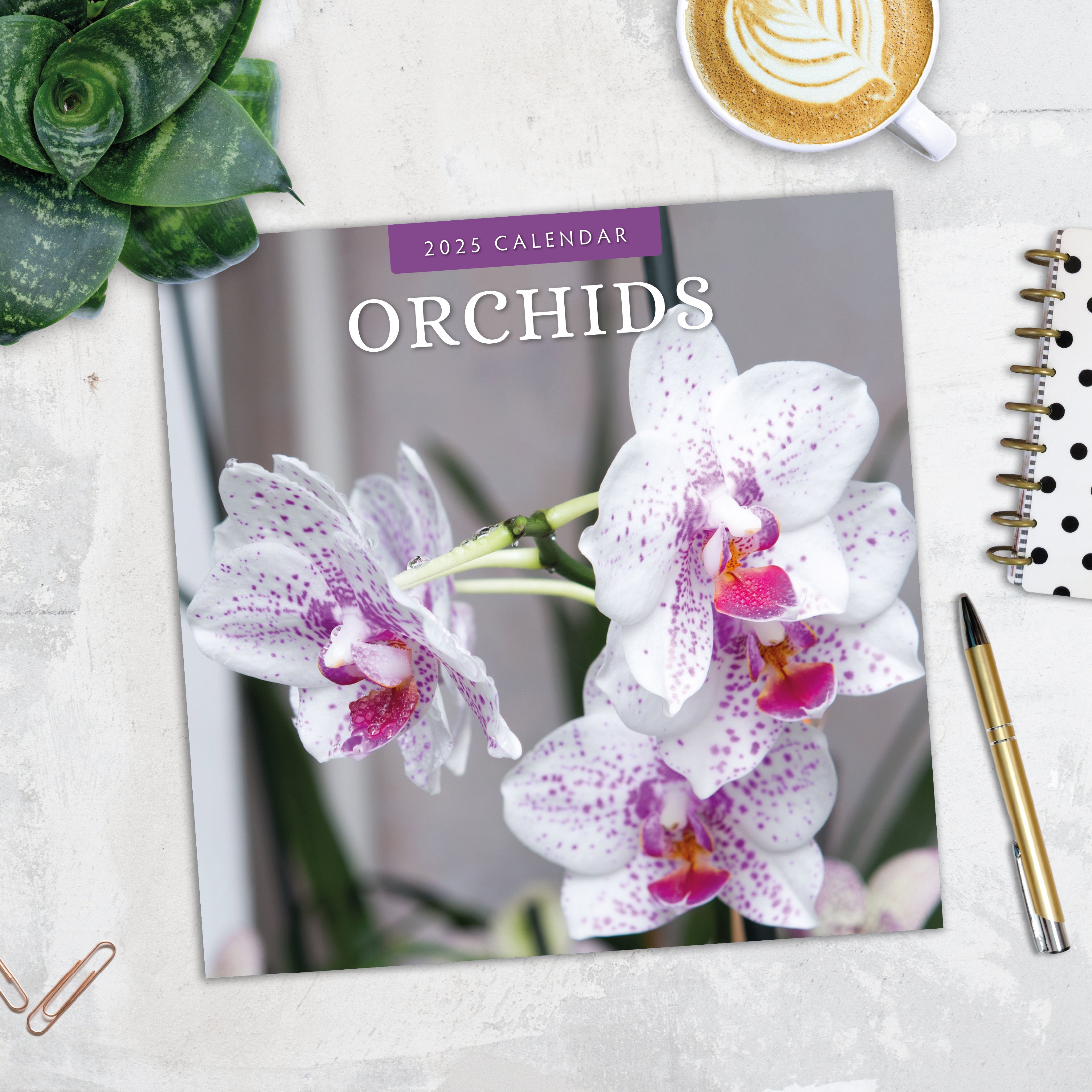 2025 Orchids - Square Wall Calendar