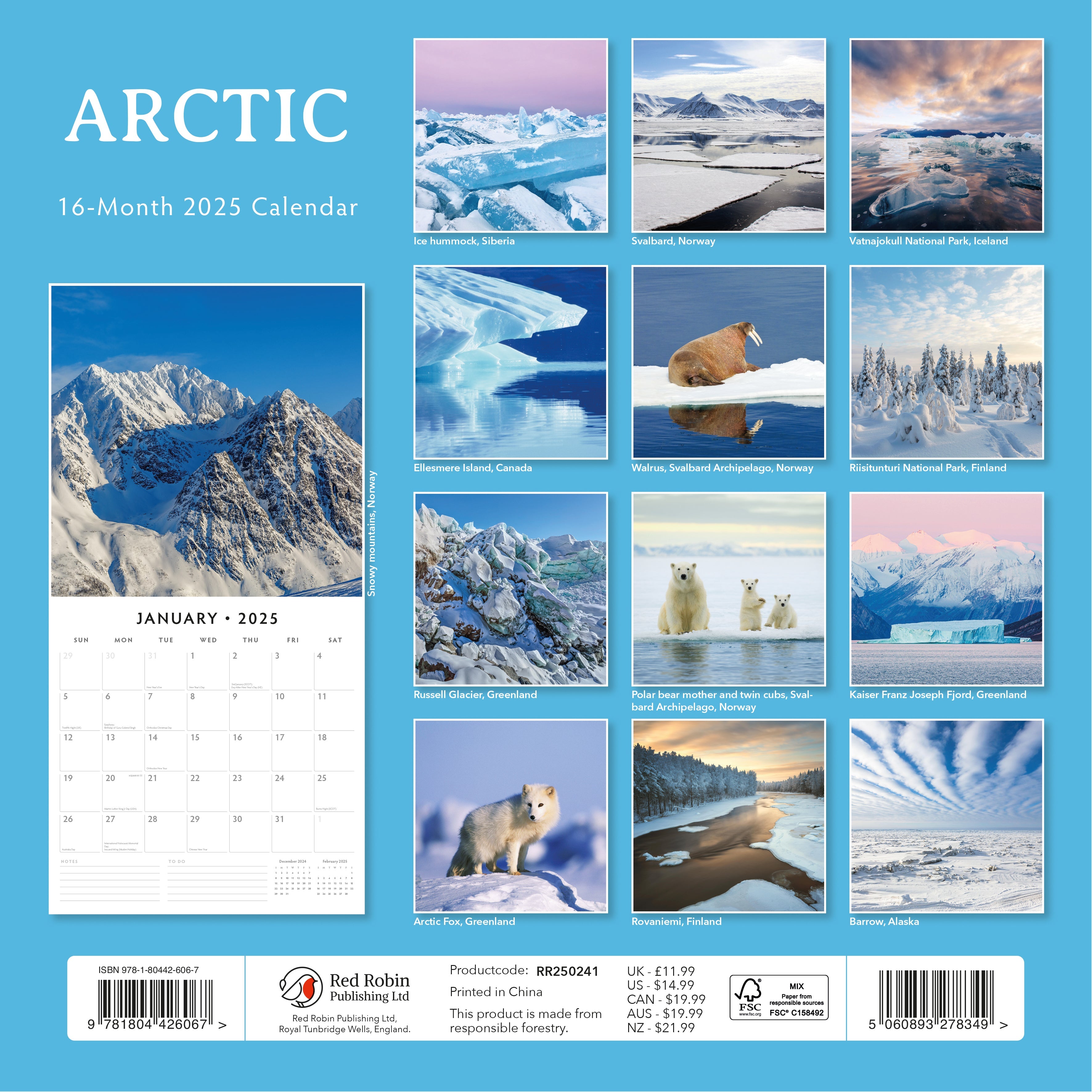 2025 Arctic - Square Wall Calendar