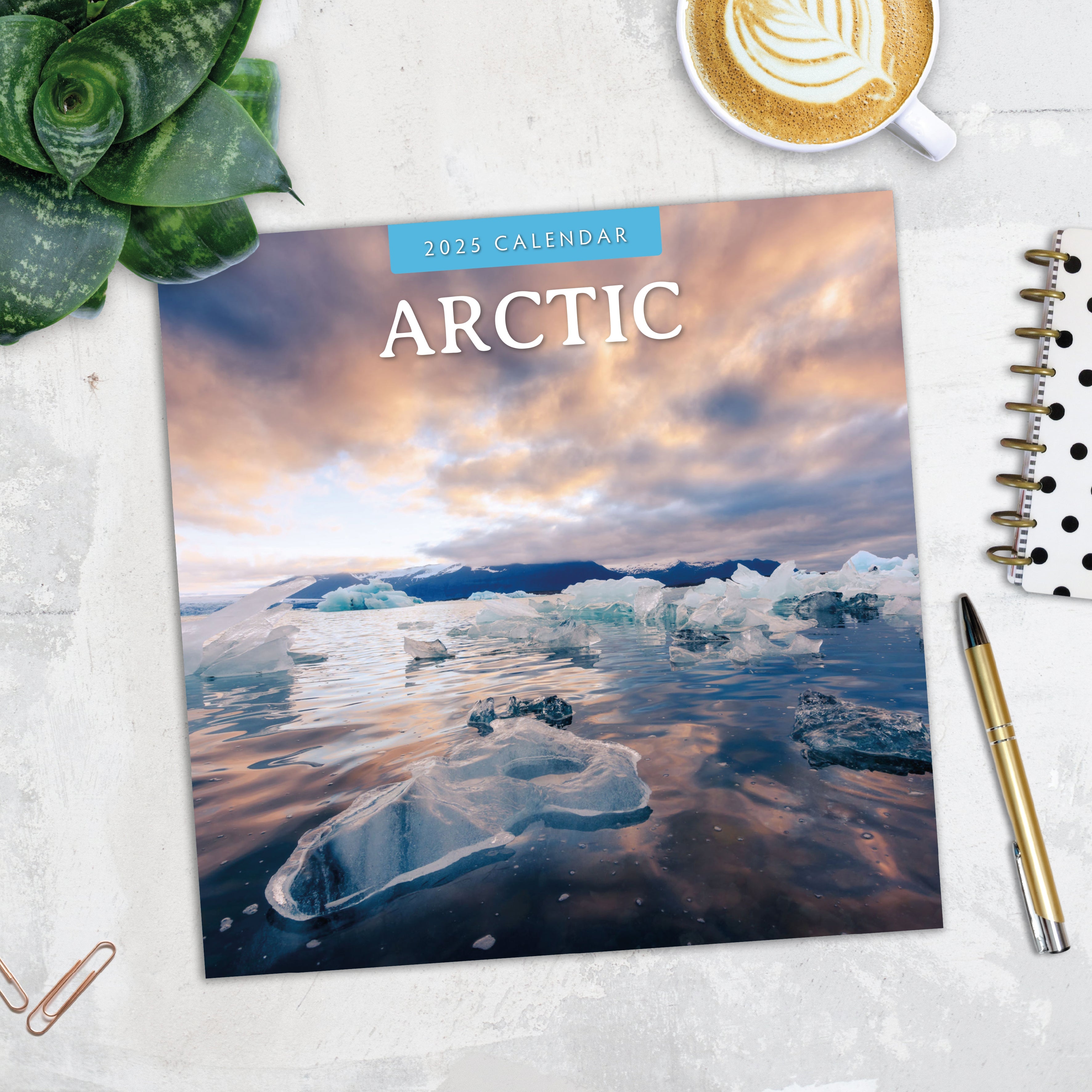 2025 Arctic - Square Wall Calendar