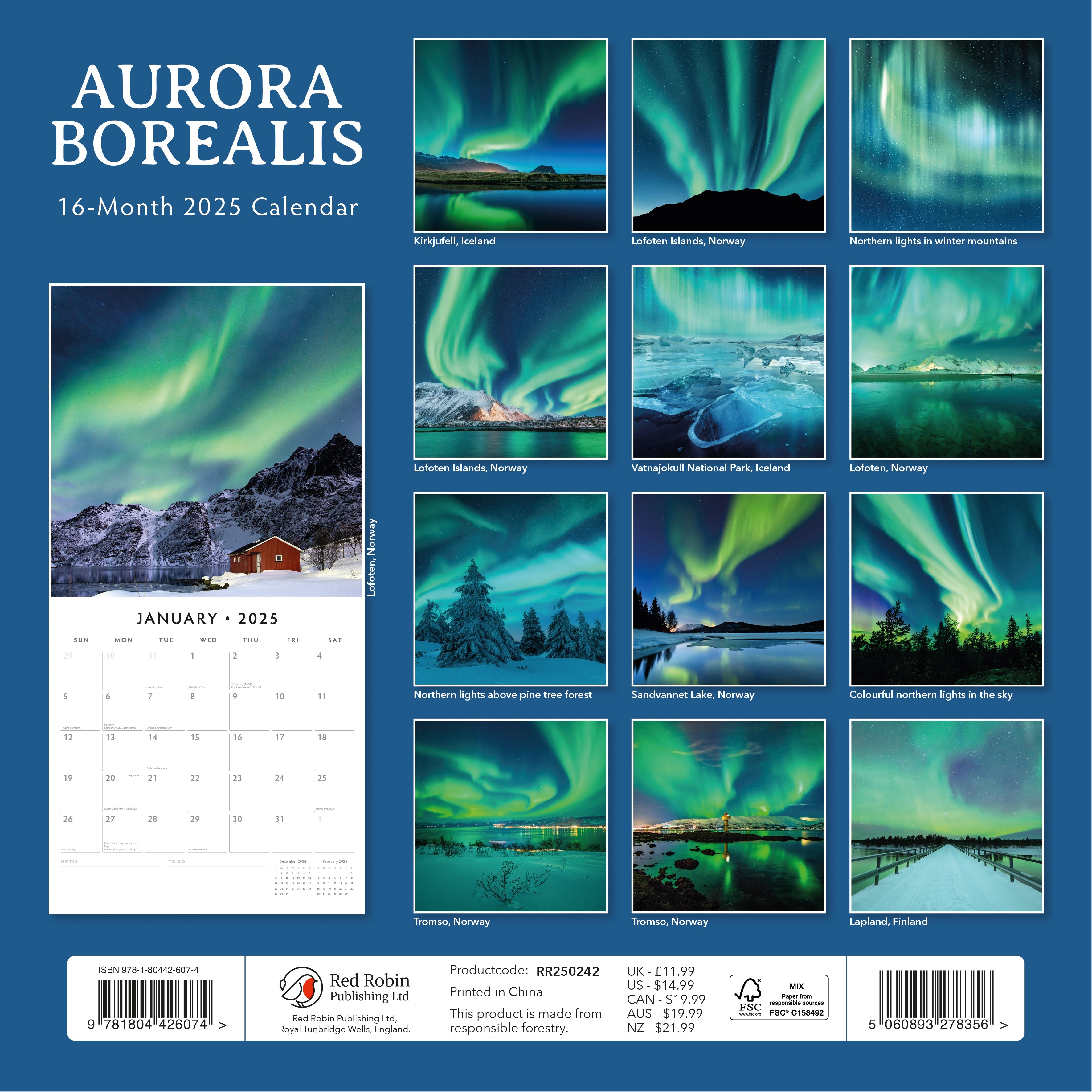 2025 Aurora Borealis - Square Wall Calendar