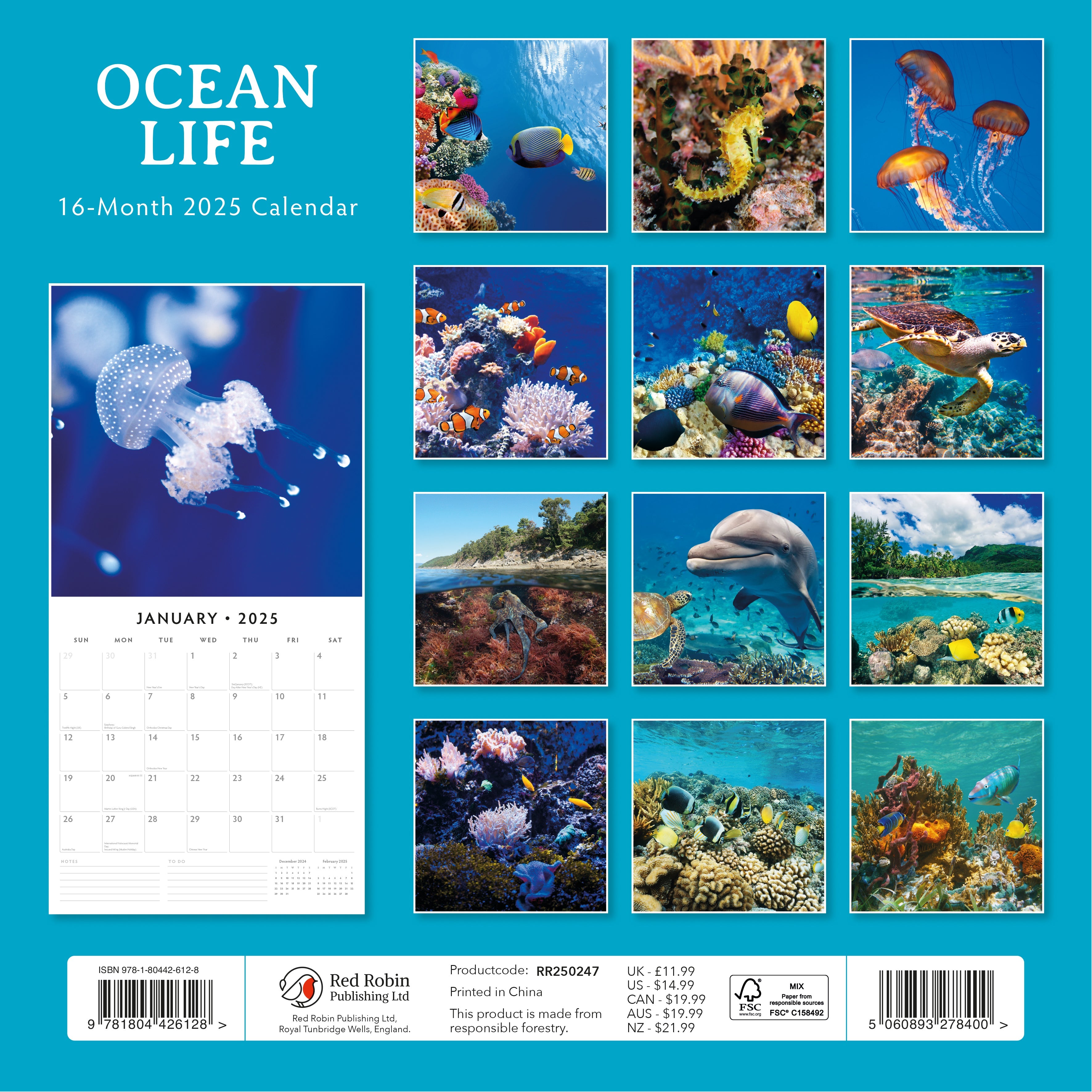 2025 Ocean Life - Square Wall Calendar