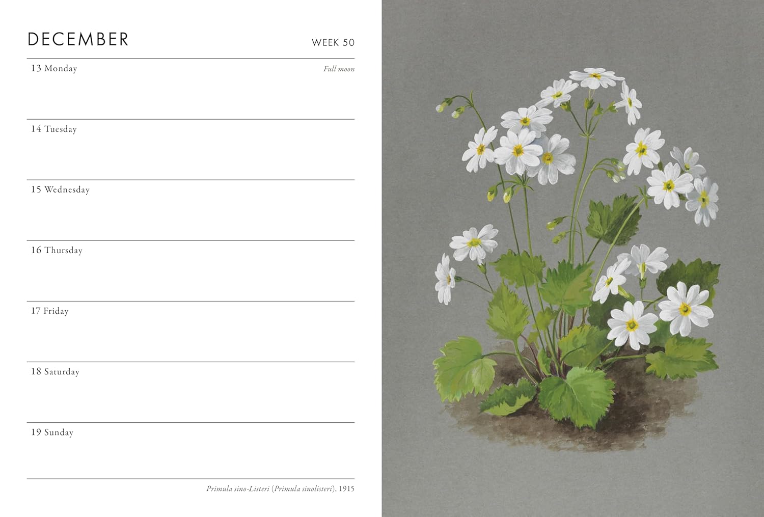 2027 RHS - Weekly Pocket Diary/Planner