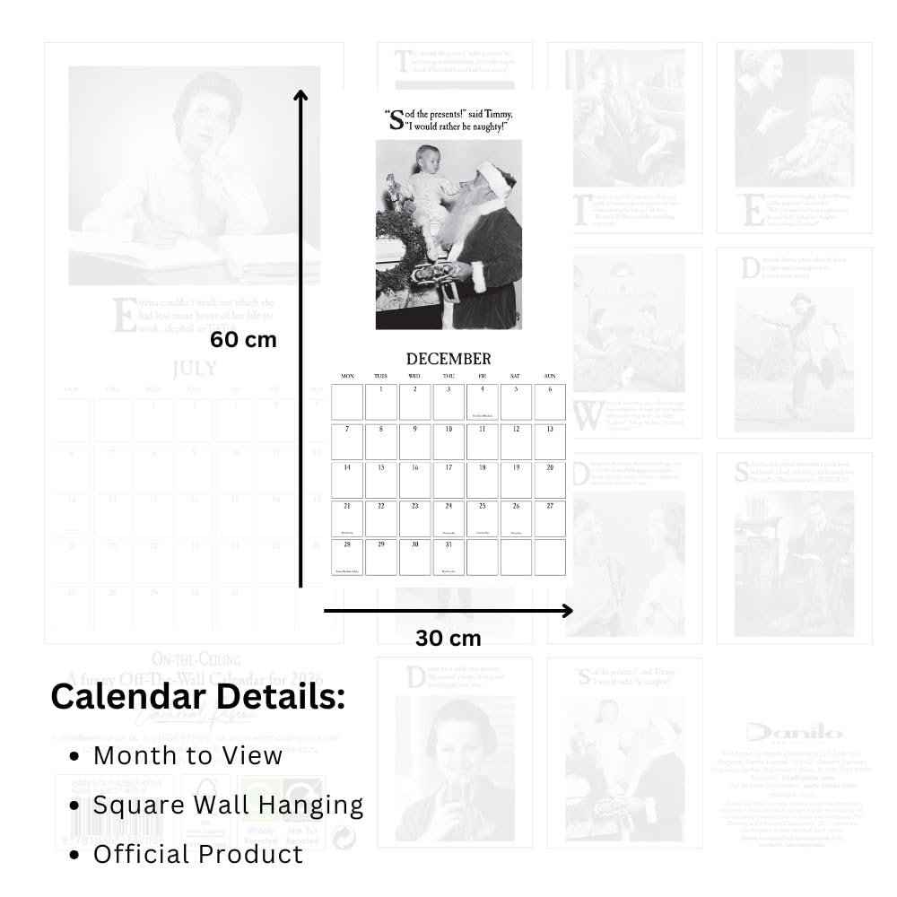 2026 On The Ceiling - Square Wall Calendar