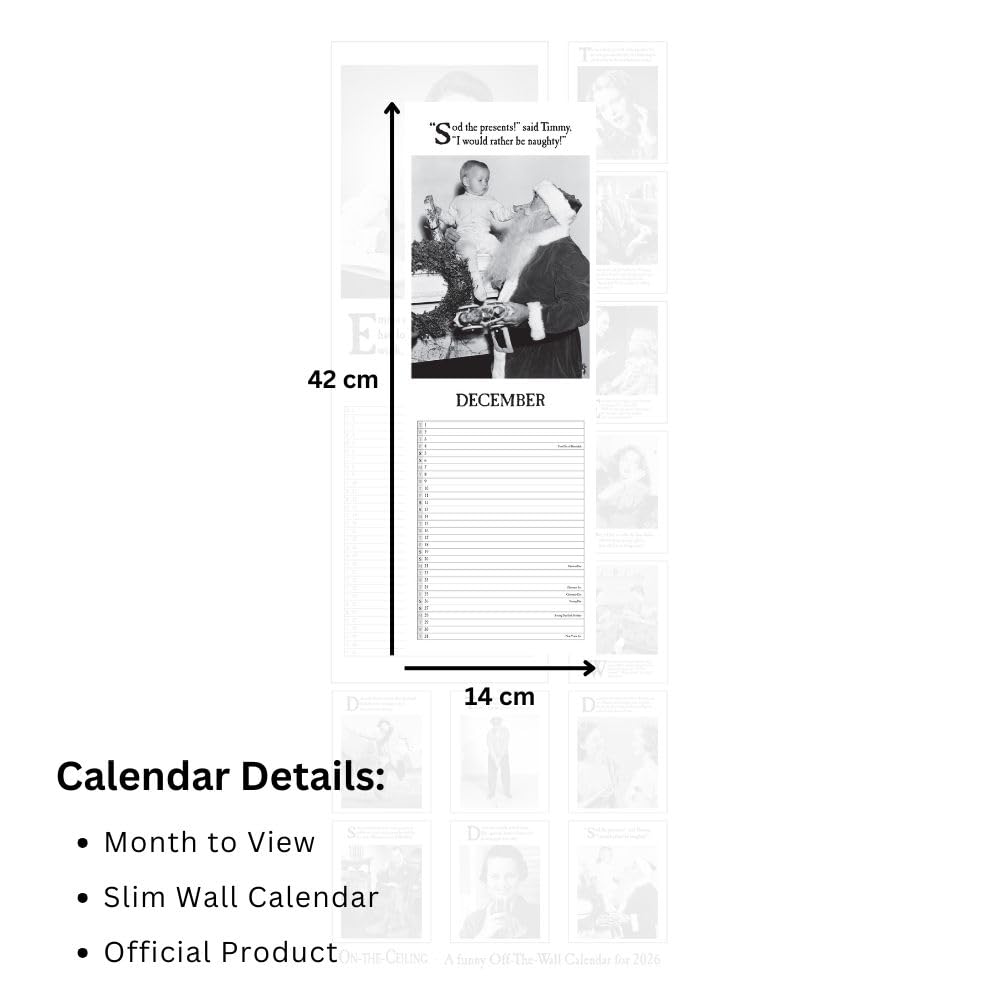 2026 On The Ceiling - Slim Wall Calendar