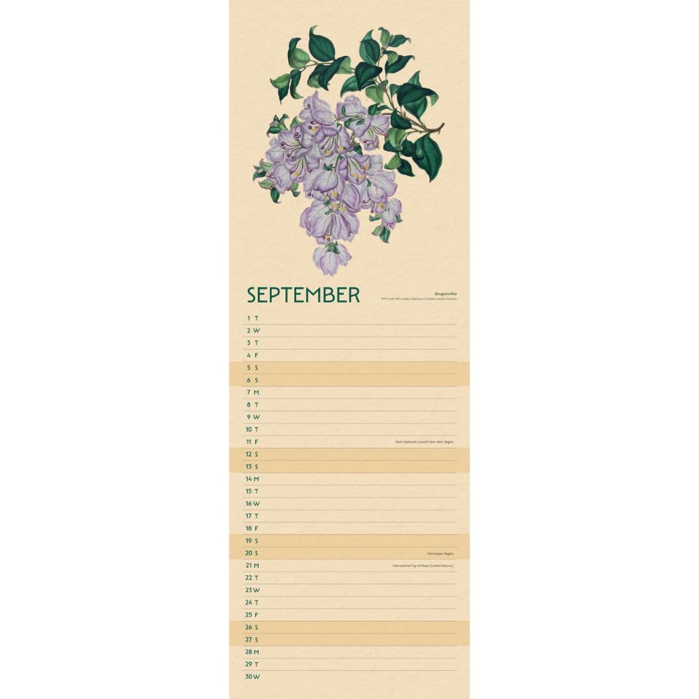 2026 RHS - Flowers - Slim Wall Calendar