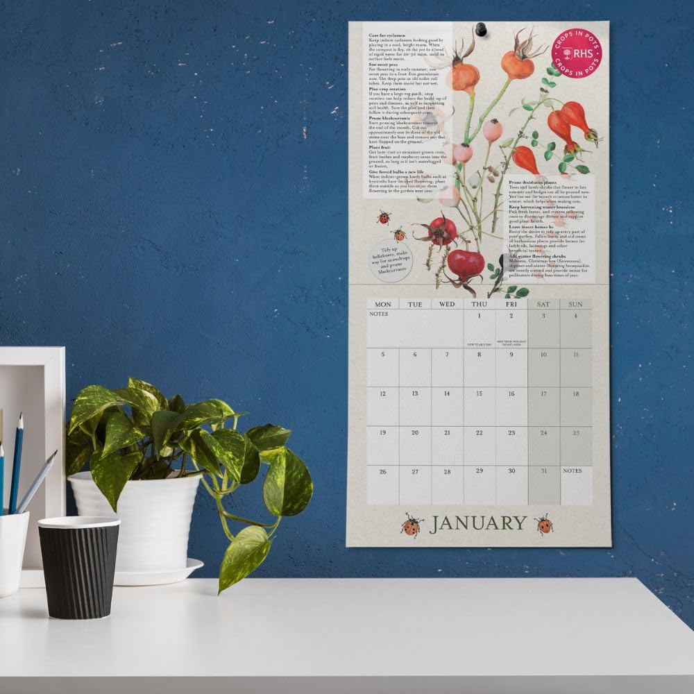 2026 RHS - Crops In Pots - Mini Wall Calendar