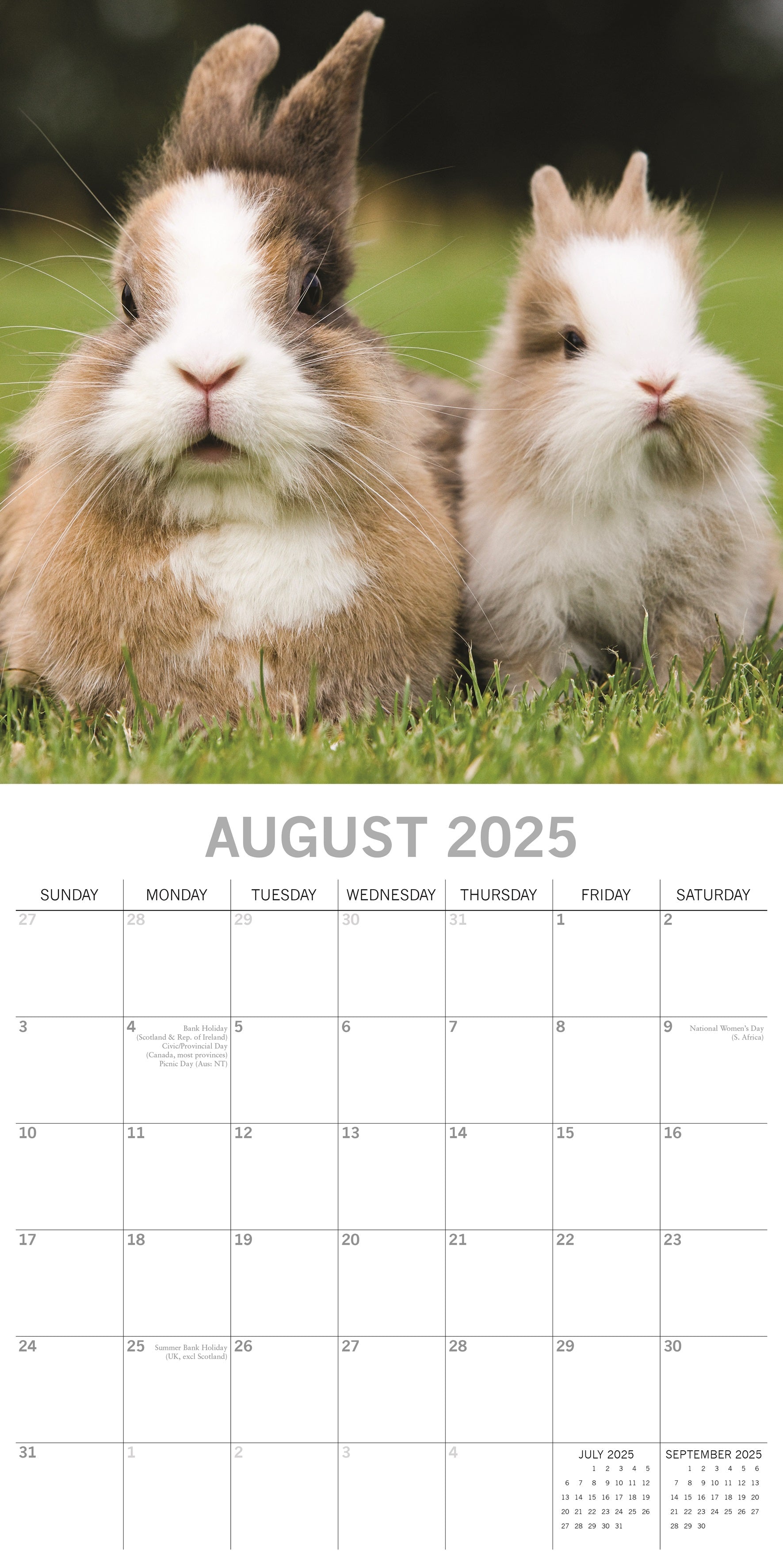 2025 Cute Bunnies - Square Wall Calendar