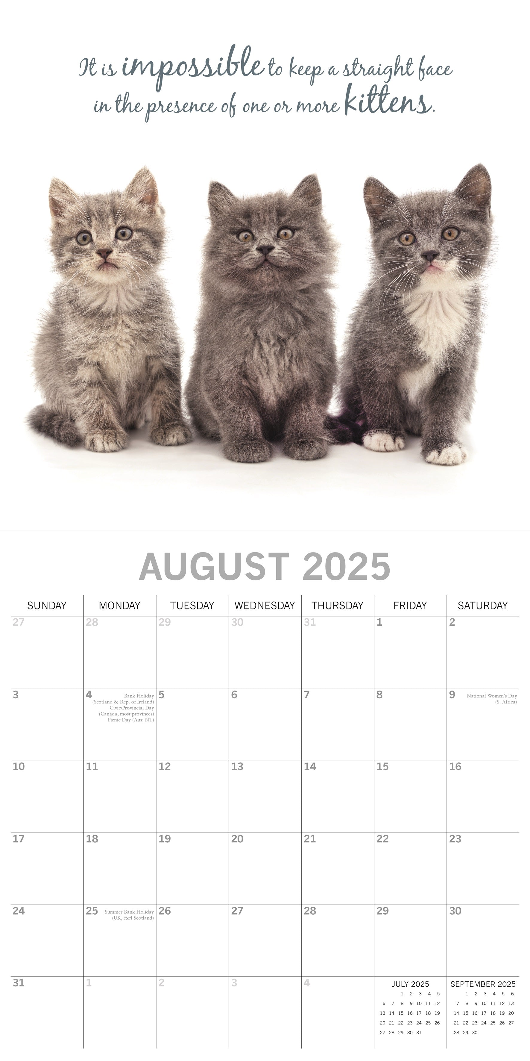 2025 Cute Kittens - Square Wall Calendar