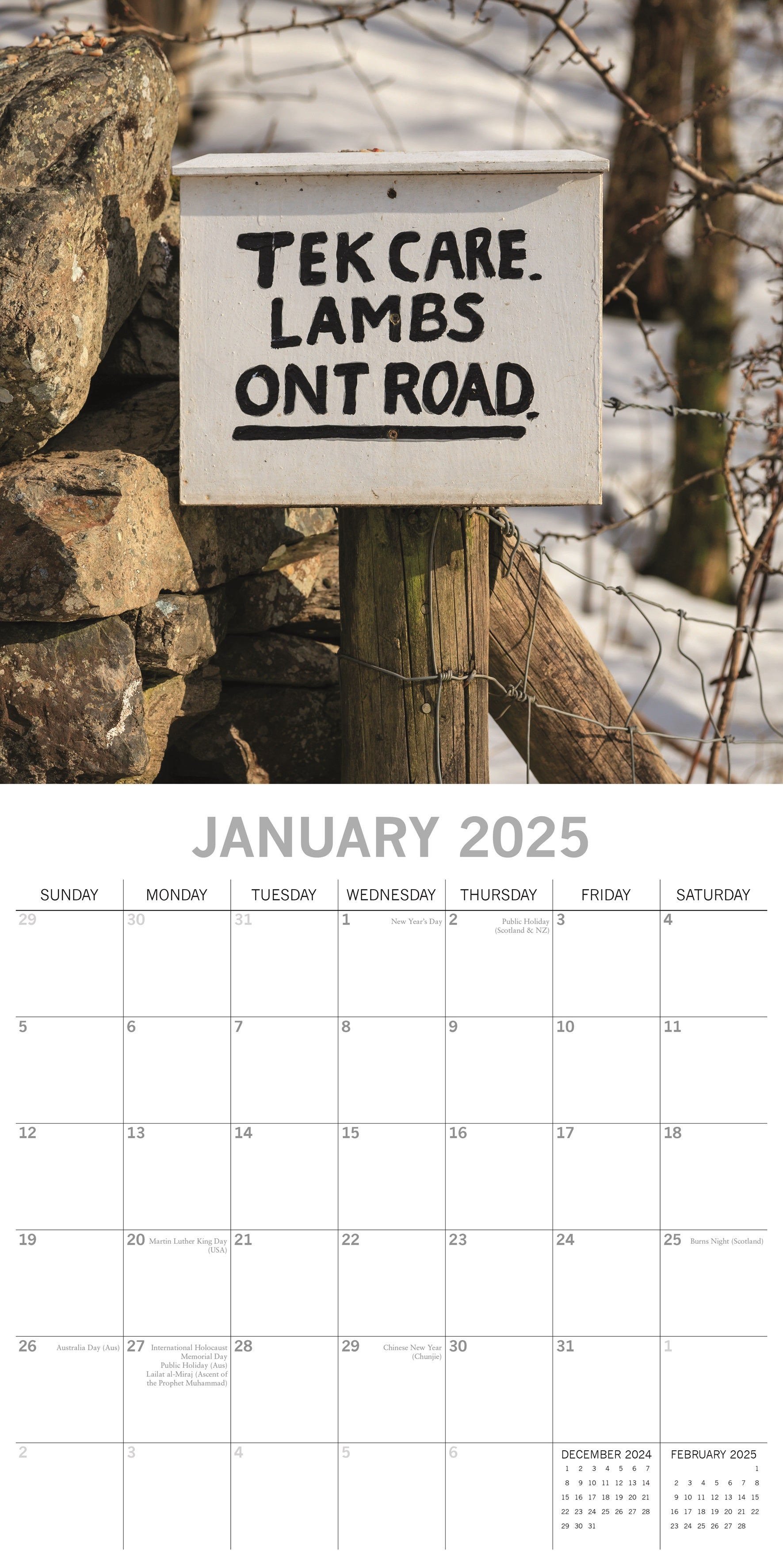 2025 Danger!...Hilarious Road Signs Ahead - Square Wall Calendar