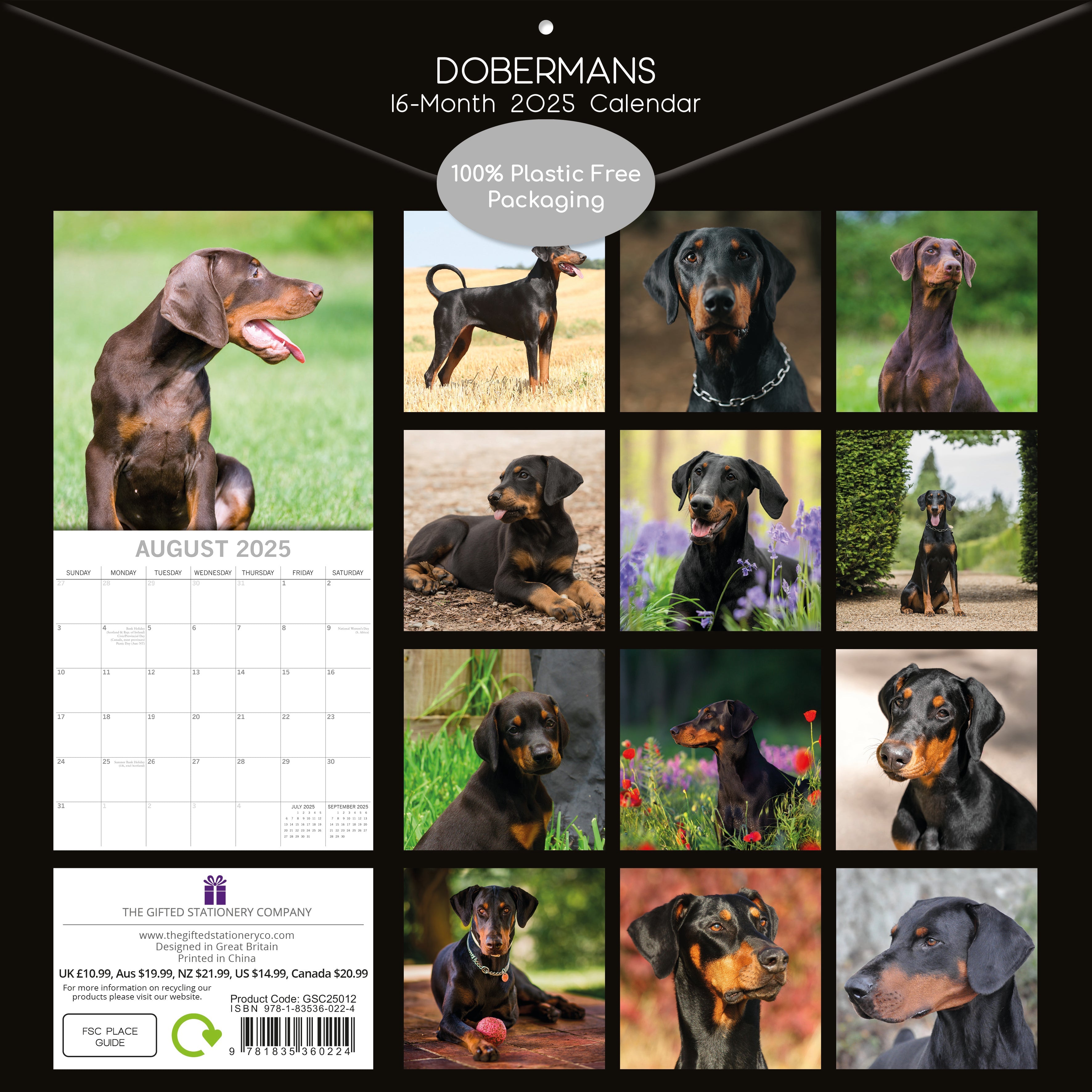 2025 Dobermans - Square Wall Calendar