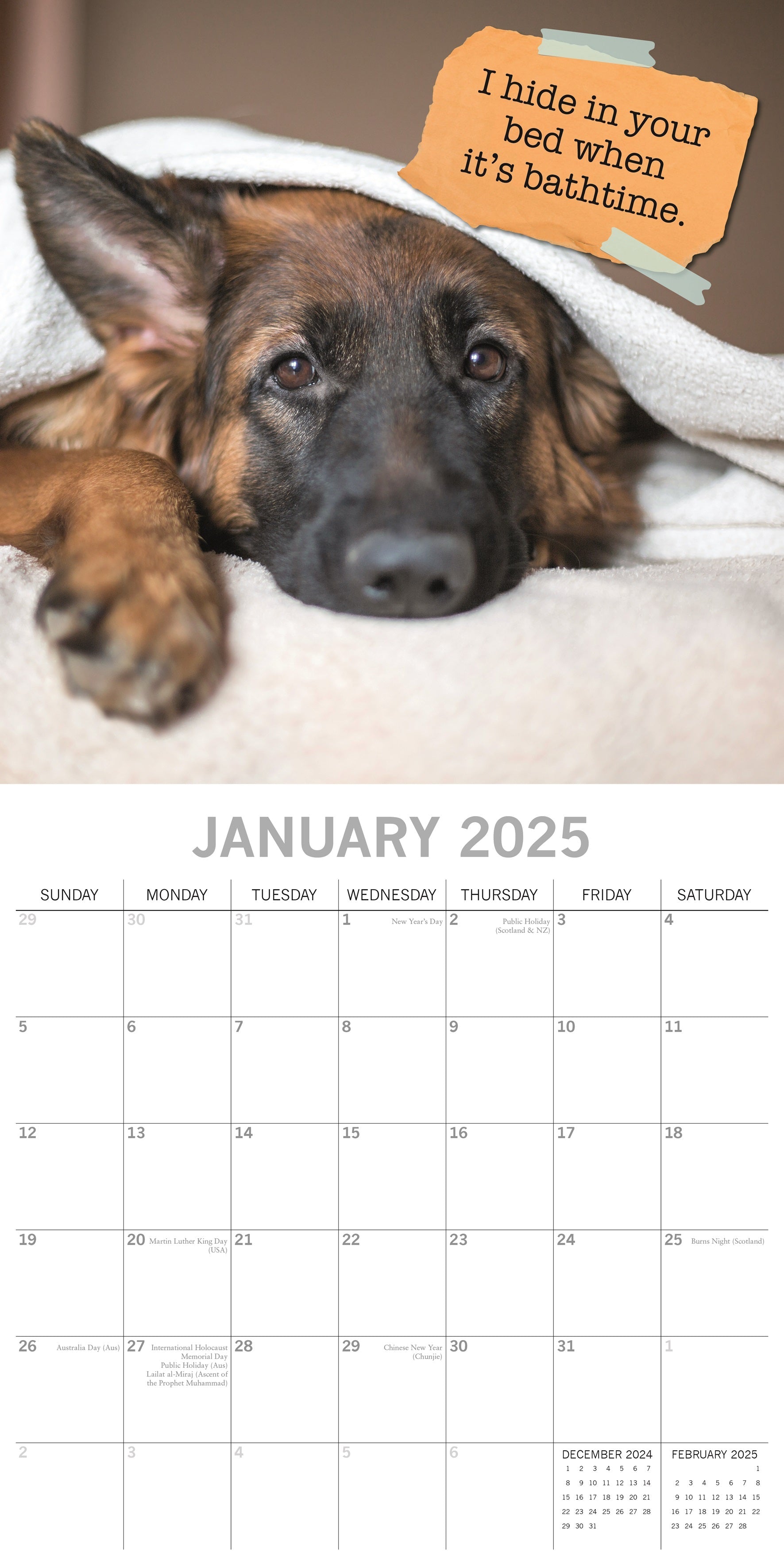 2025 Dog Shaming - Square Wall Calendar