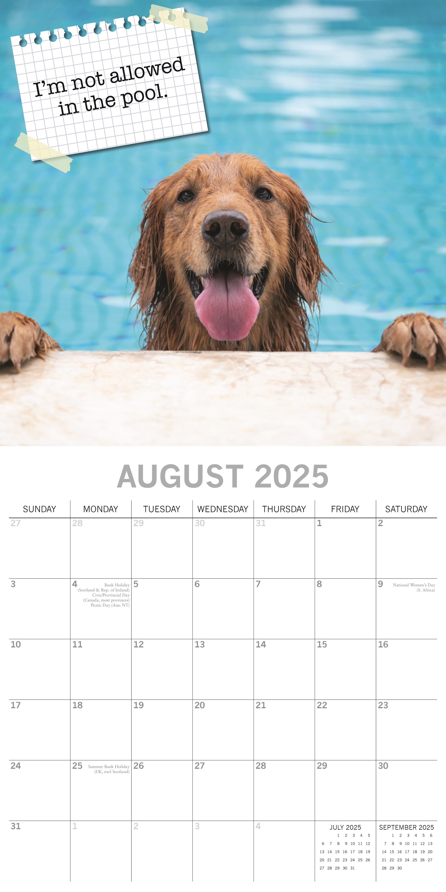 2025 Dog Shaming - Square Wall Calendar