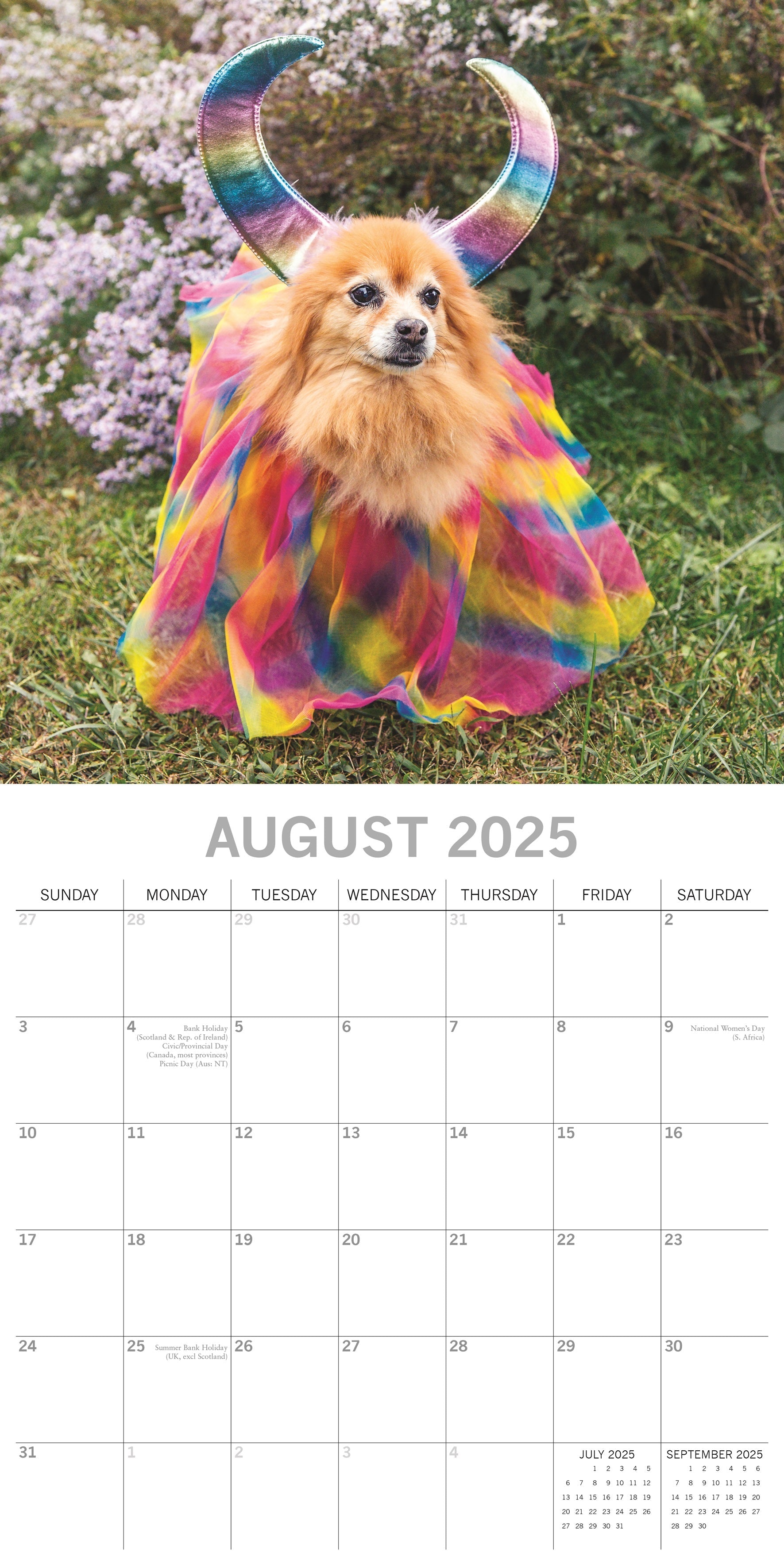 2025 Dogs as Animals - Square Wall Calendar