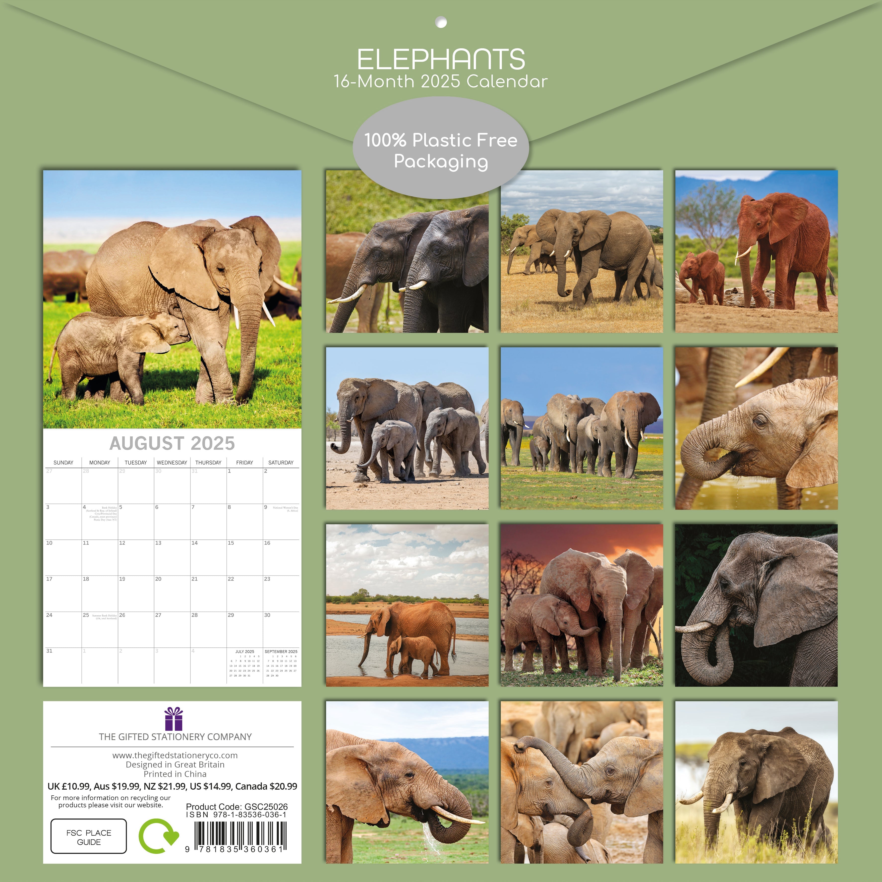 2025 Elephants - Square Wall Calendar