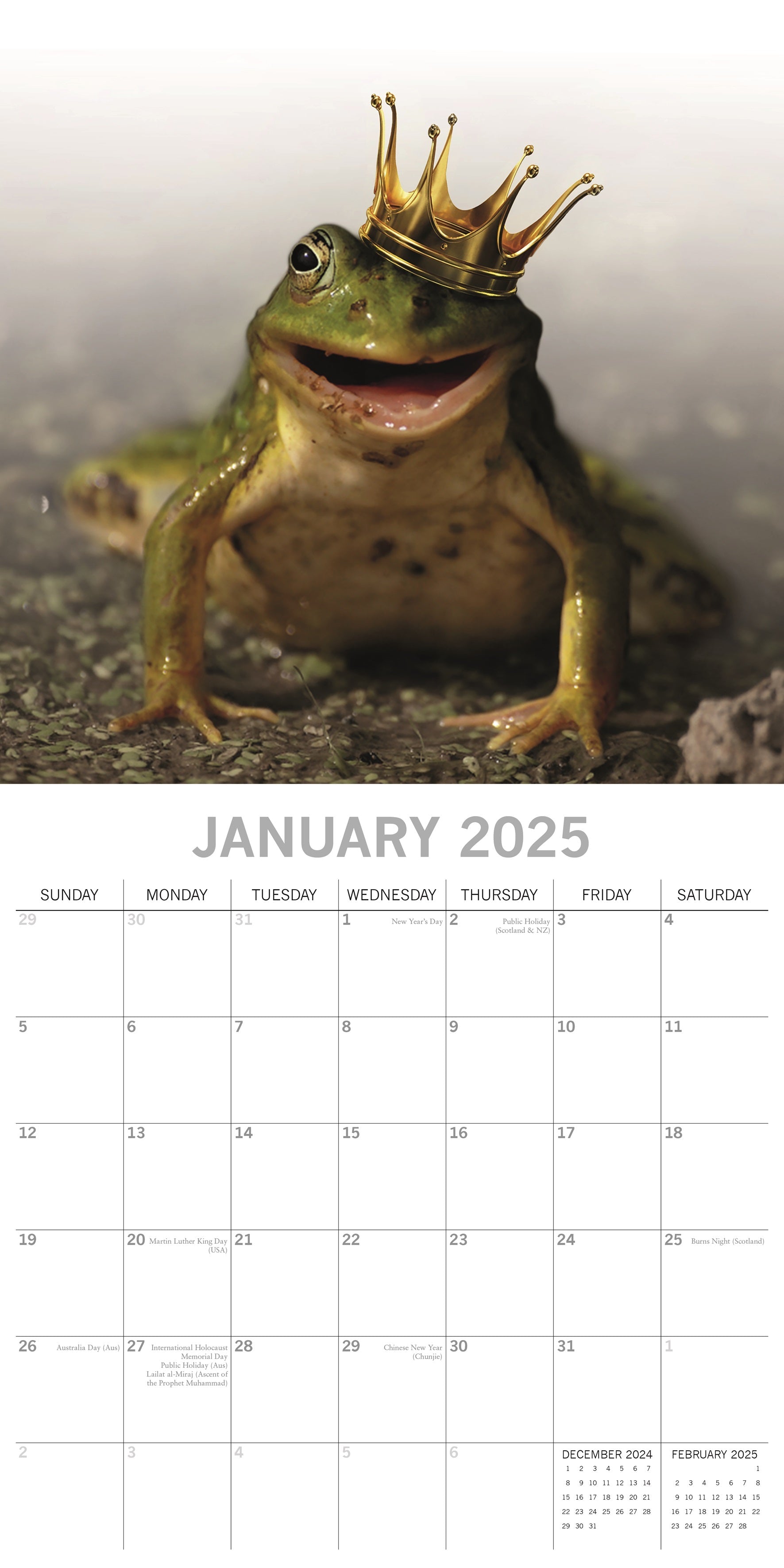 2025 Fabulous Frogs - Square Wall Calendar