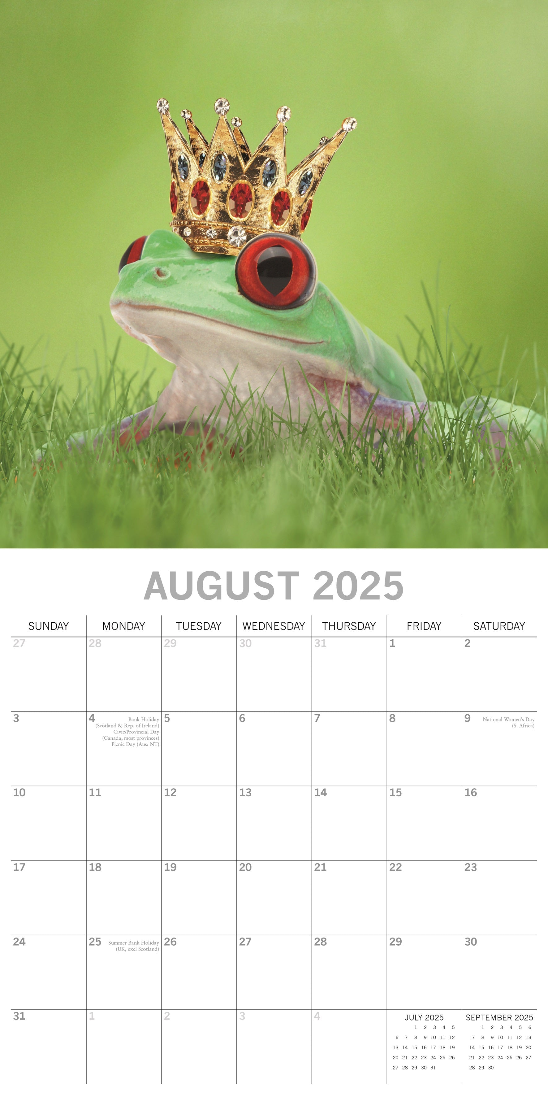 2025 Fabulous Frogs - Square Wall Calendar