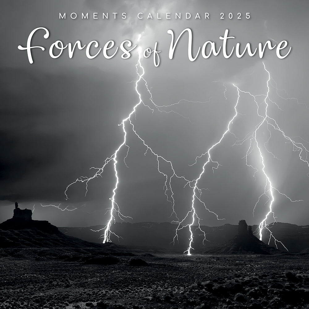 2025 Forces of Nature - Square Wall Calendar