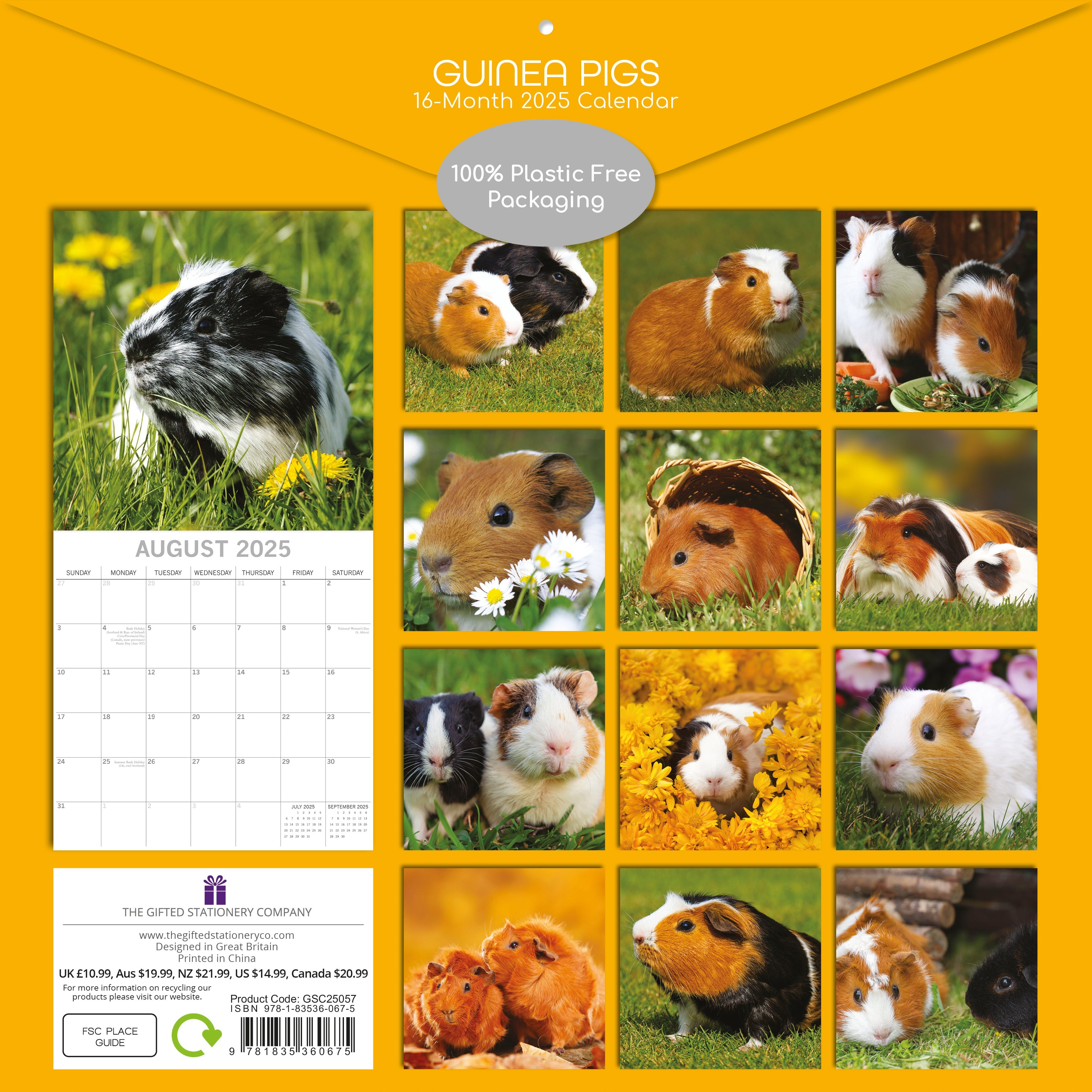 2025 Guinea Pigs - Square Wall Calendar