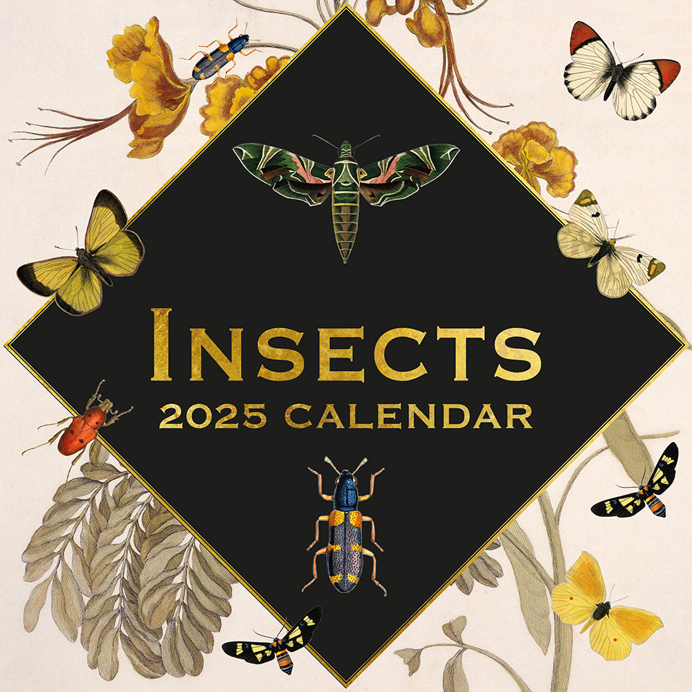 2025 Insects - Square Wall Calendar