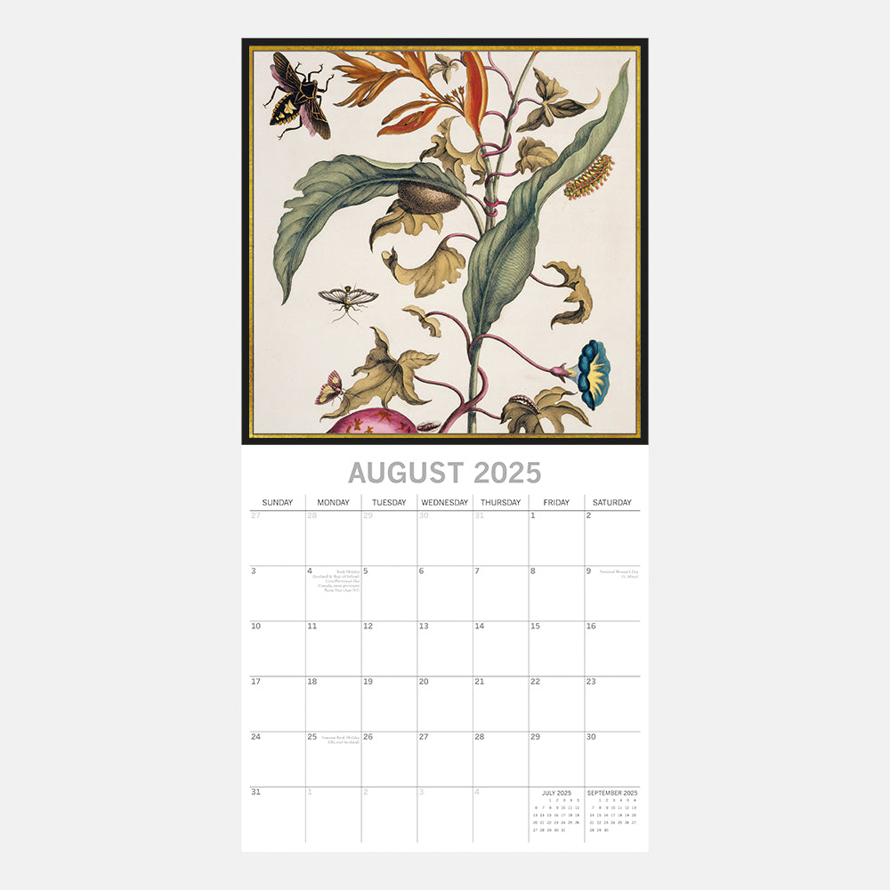 2025 Insects - Square Wall Calendar