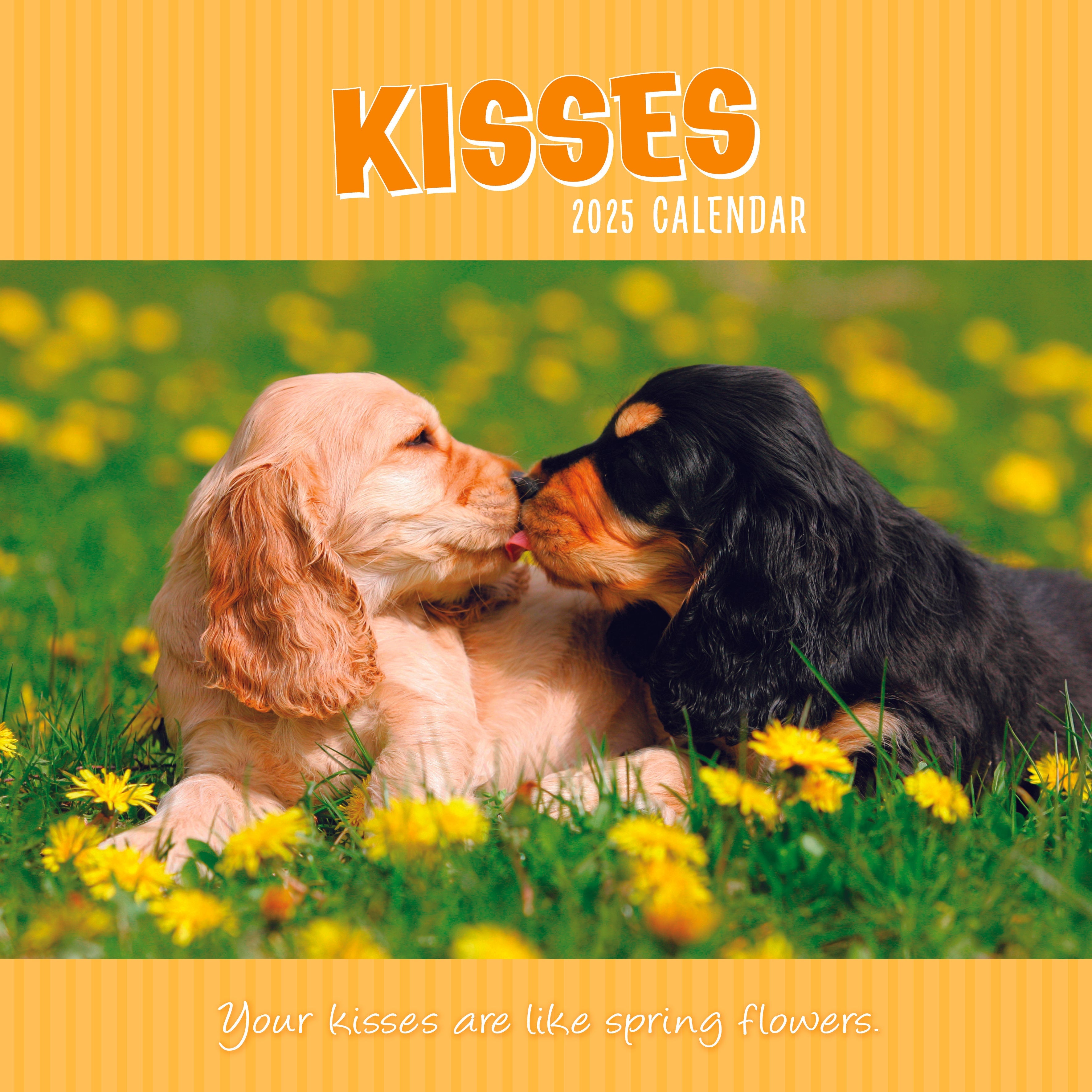 2025 Kisses - Square Wall Calendar