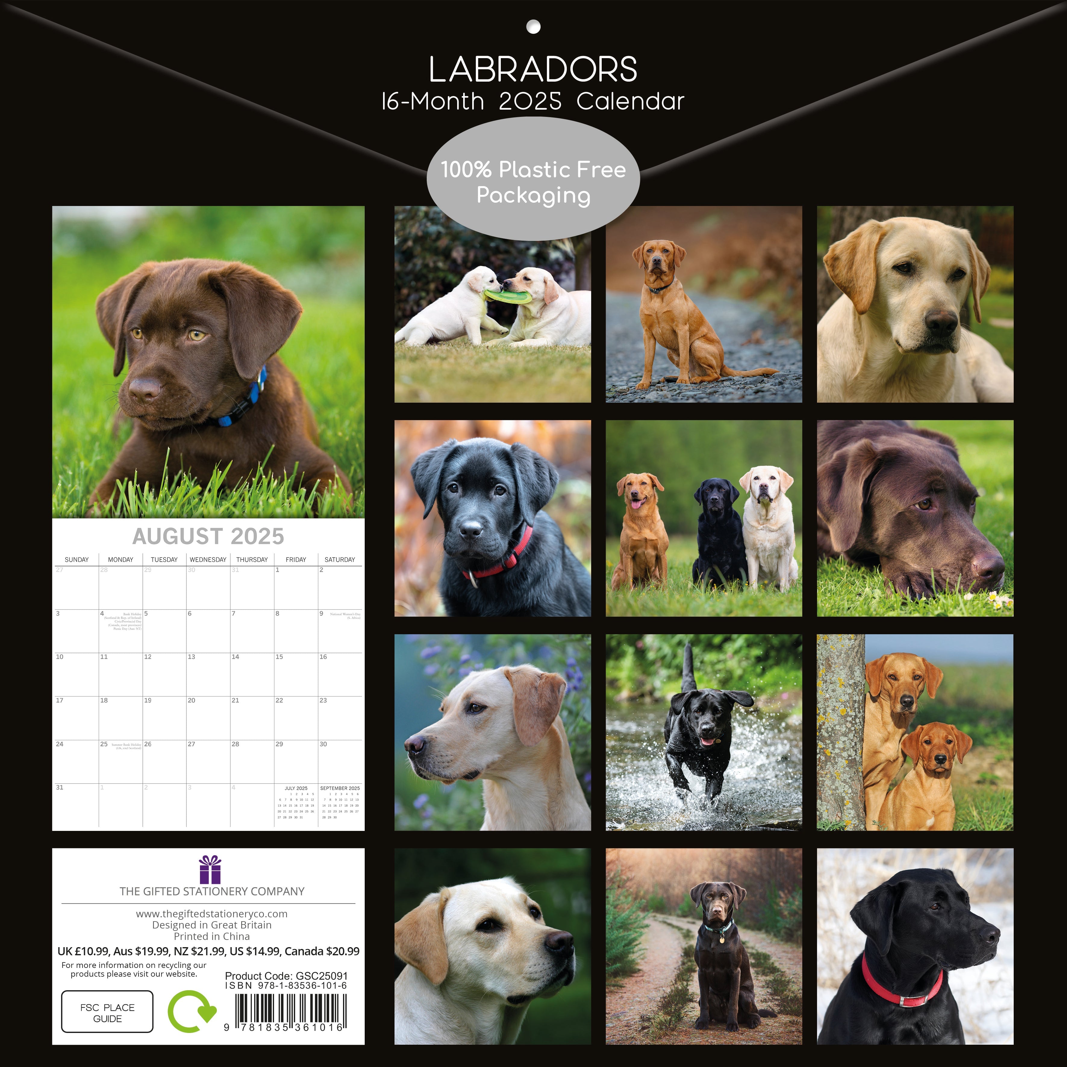 2025 Labradors - Square Wall Calendar