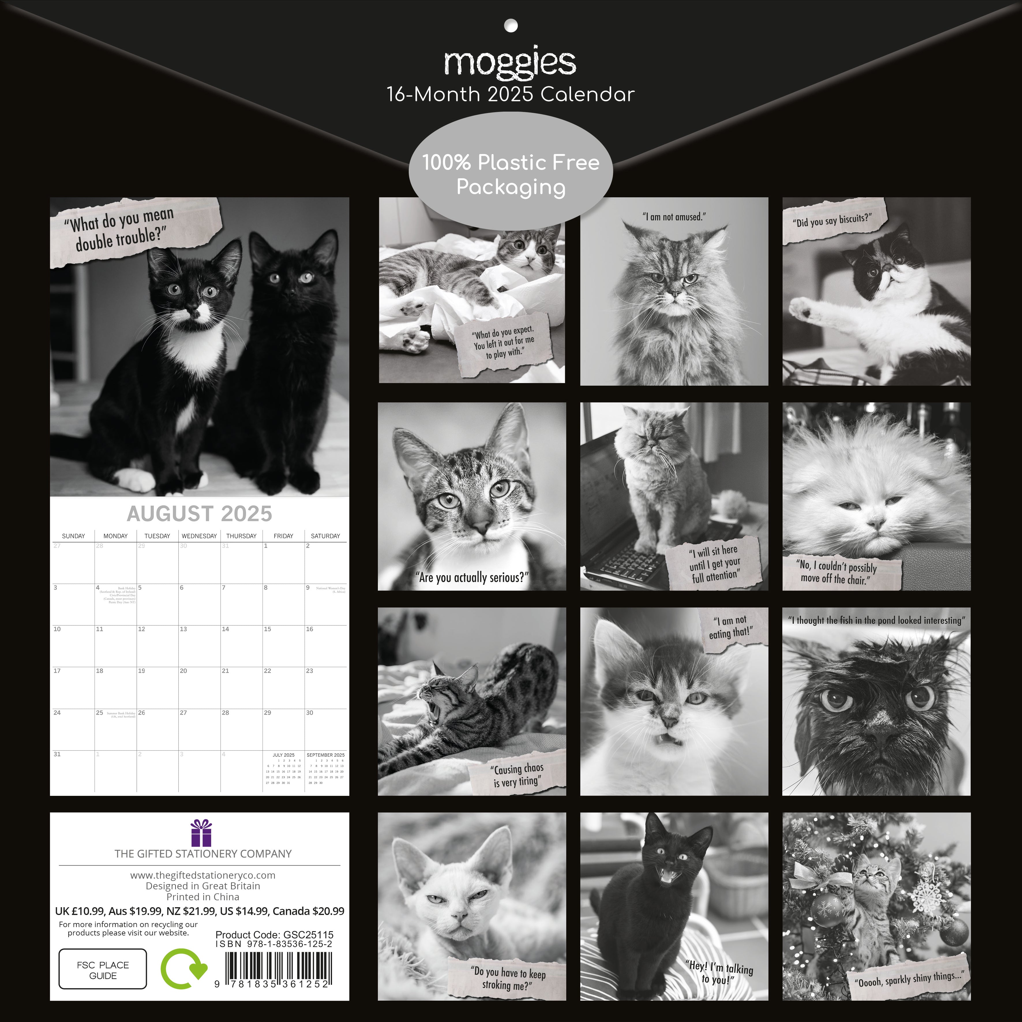 2025 Moggies - Square Wall Calendar