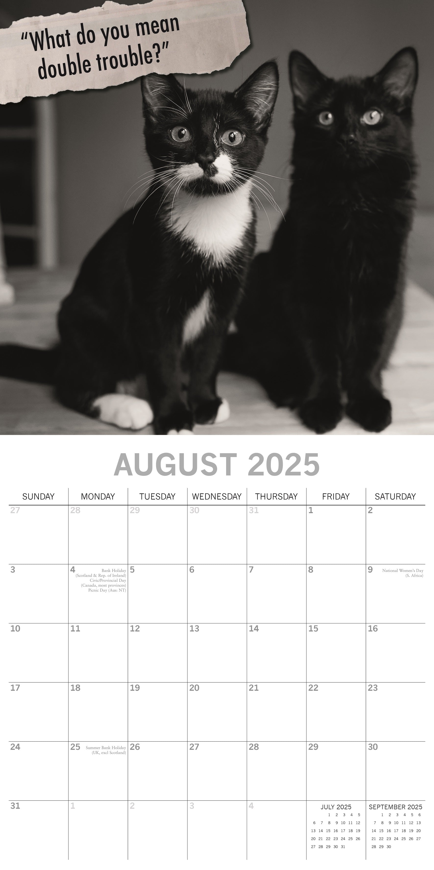 2025 Moggies - Square Wall Calendar