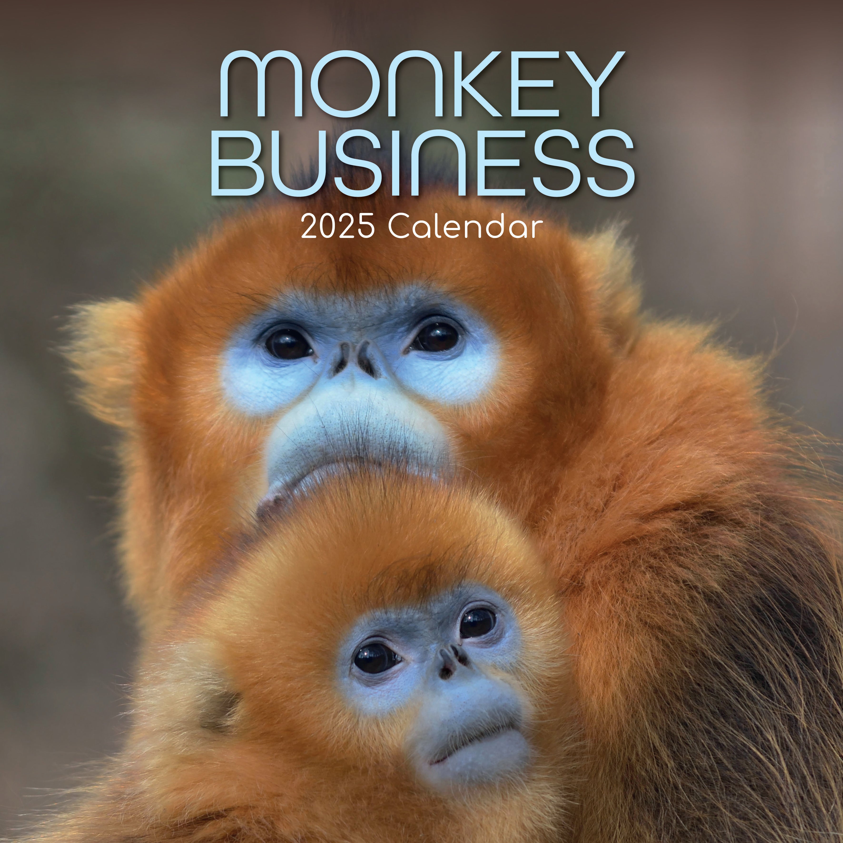 2025 Monkey Business - Square Wall Calendar