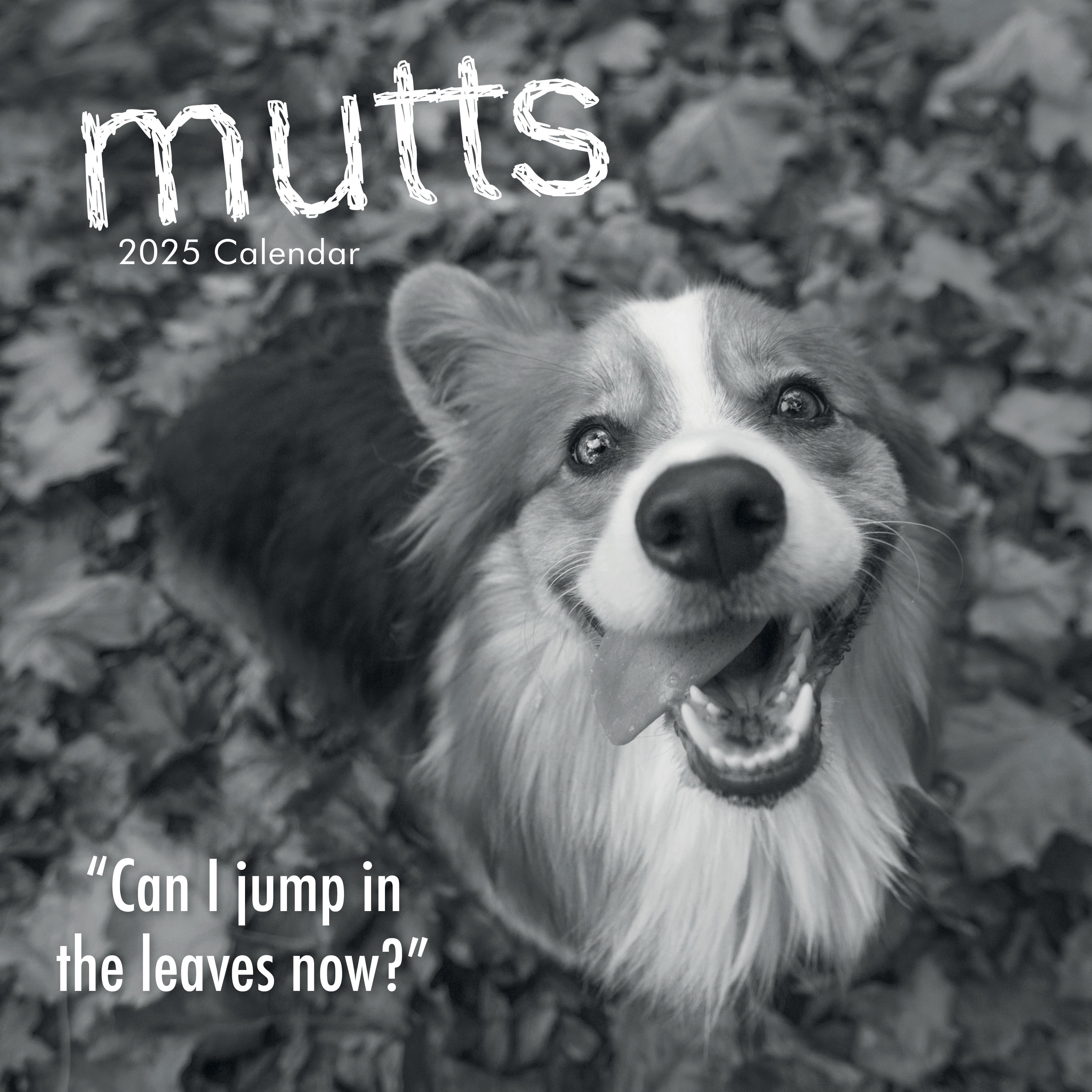 2025 Mutts - Square Wall Calendar