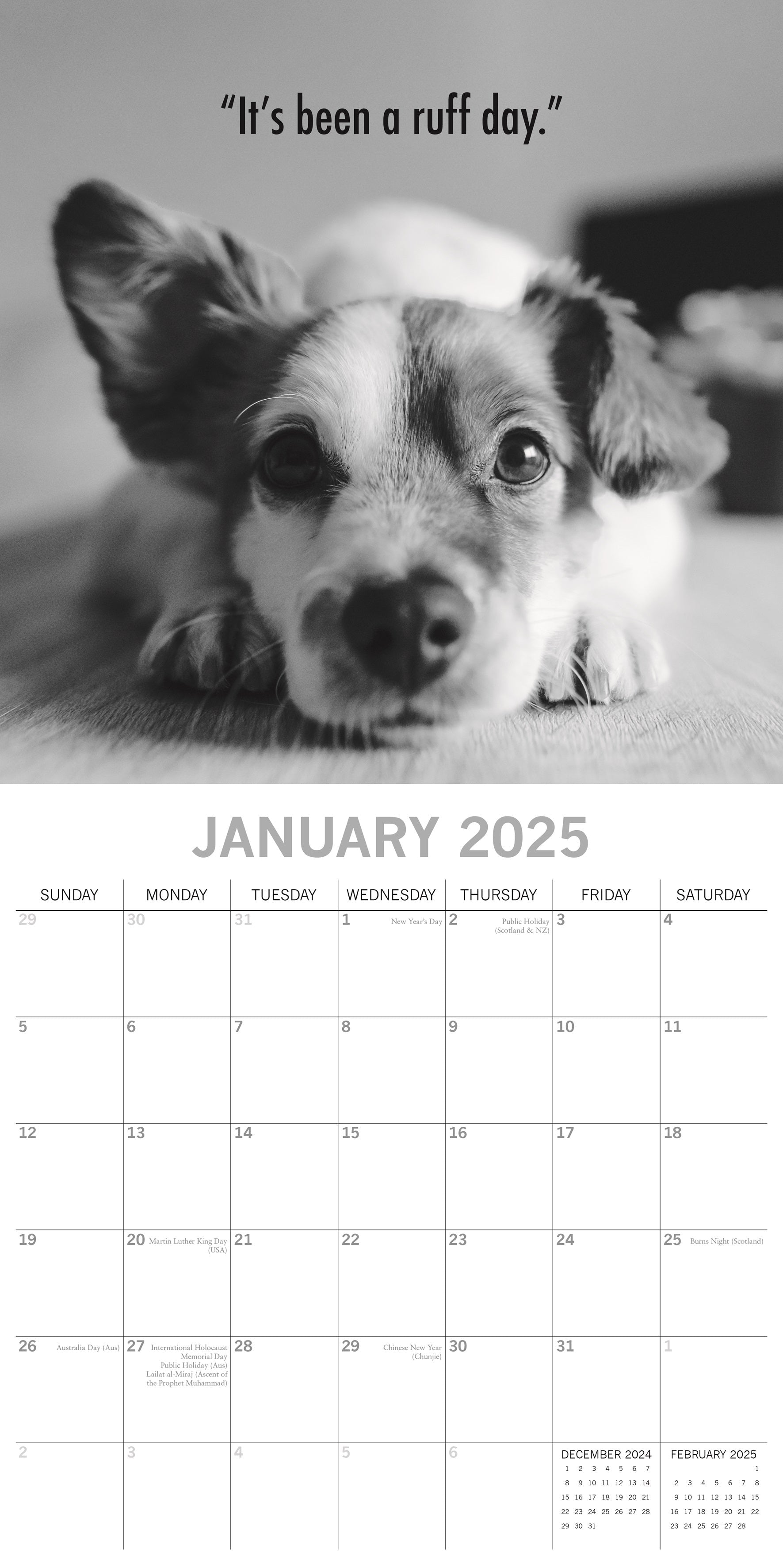 2025 Mutts - Square Wall Calendar