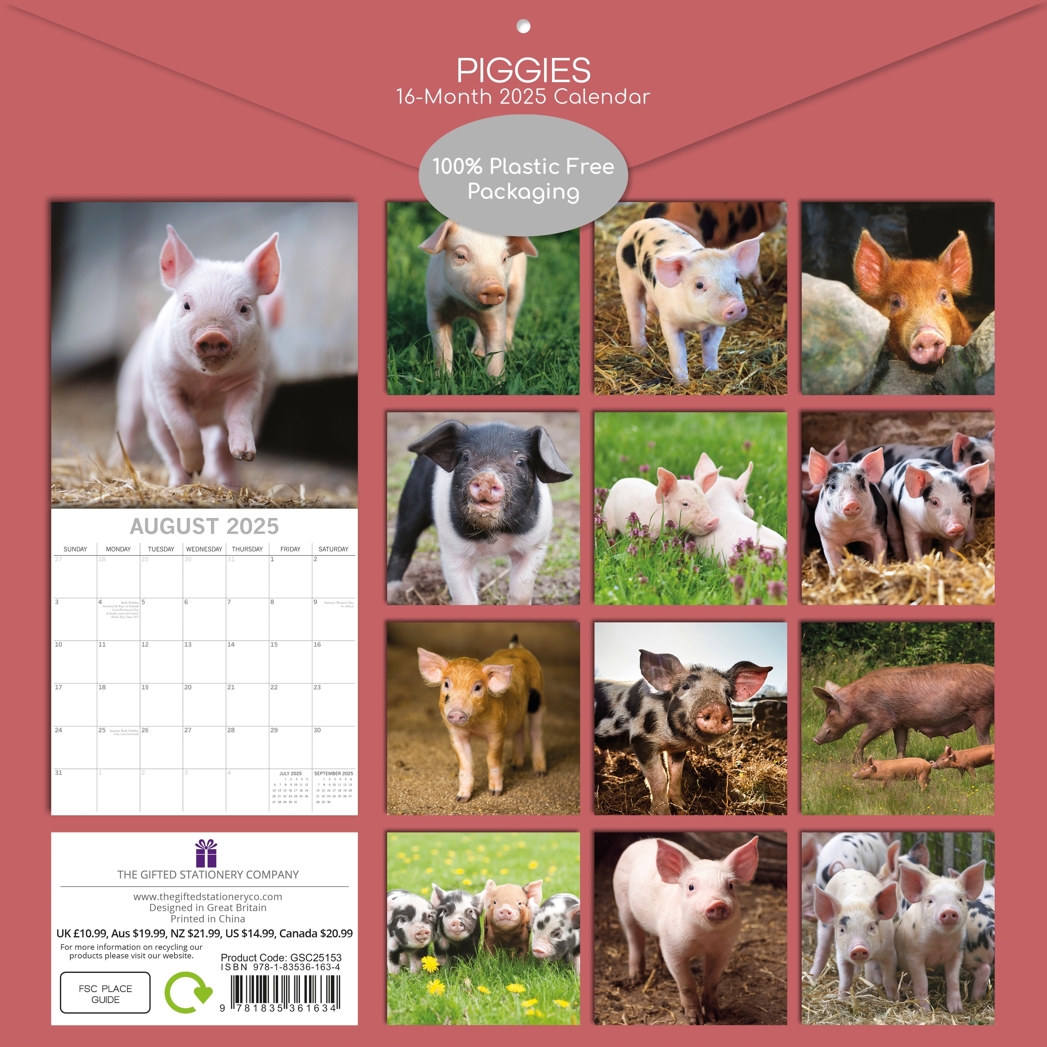 2025 Piggies - Square Wall Calendar