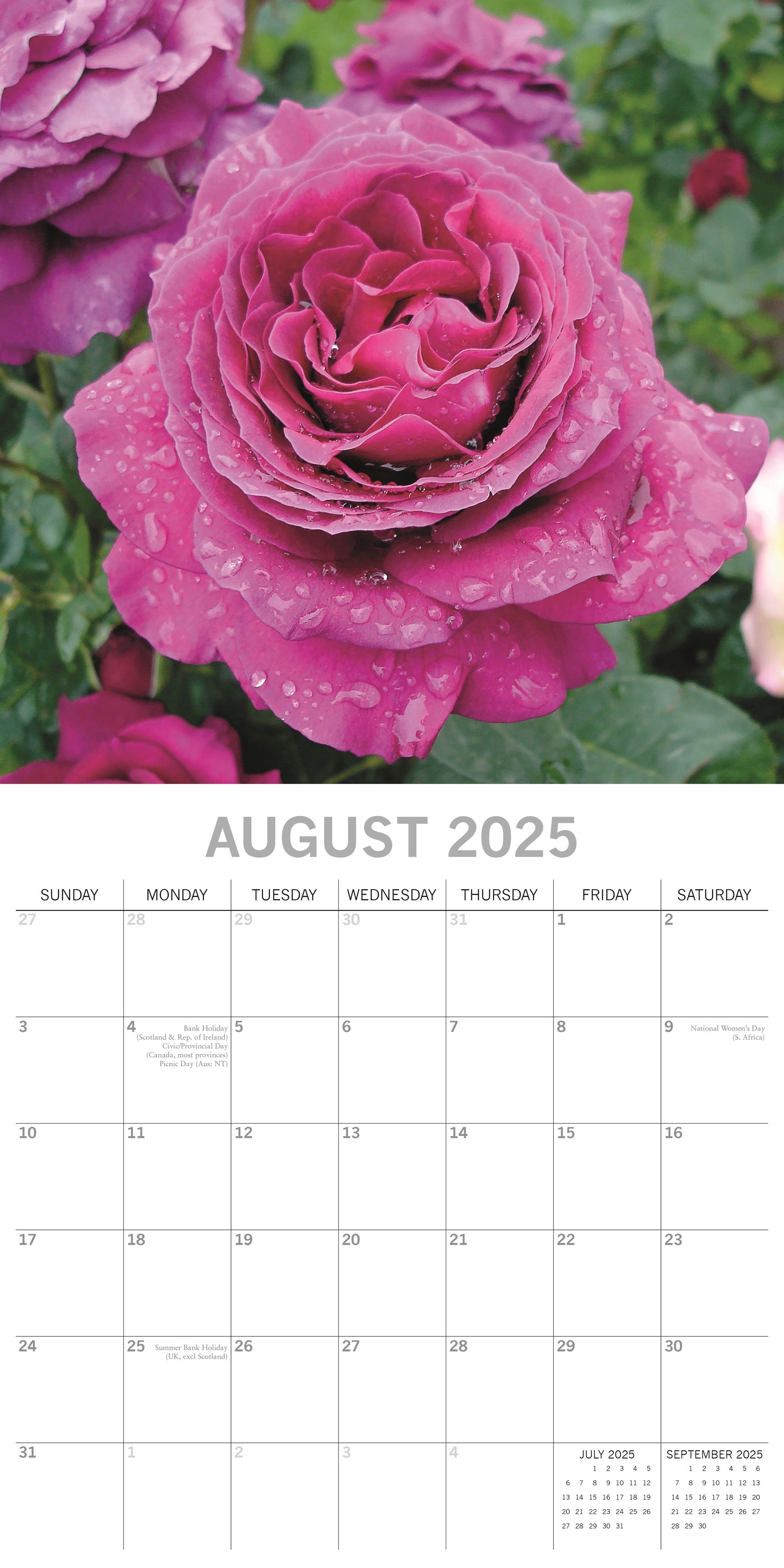 Rose 2025 Calendar - Tonya Gwenette